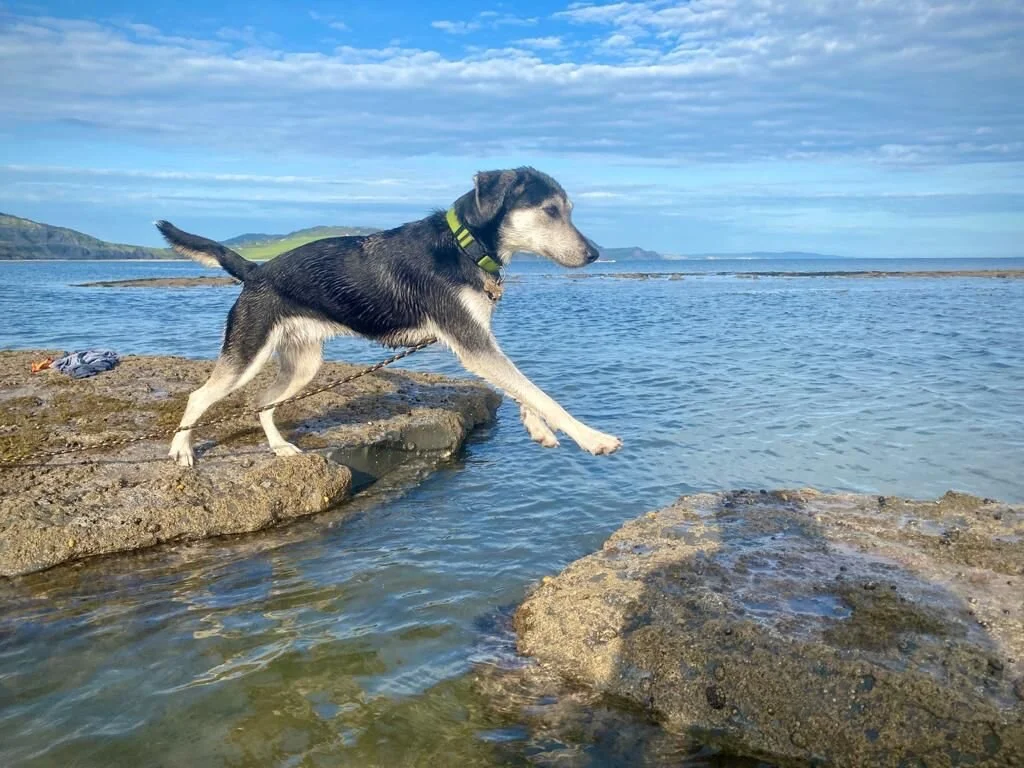 BB894C9A-C5AF-4A79-B080-187070AF04D3