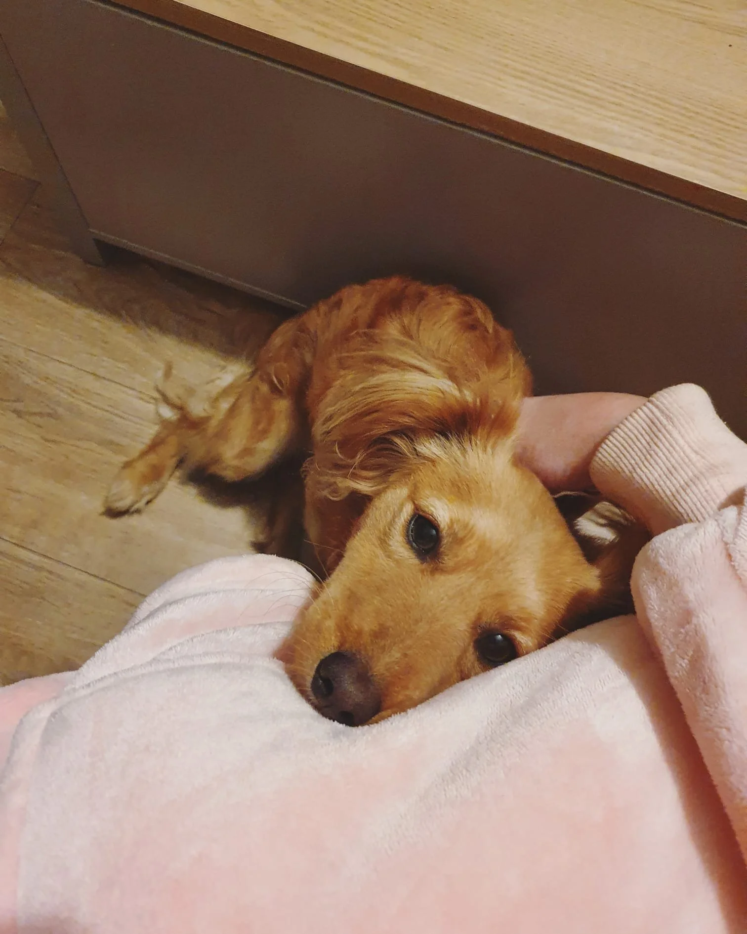 96DE98F0-BDB5-4F52-93F8-8118F1D51DC2