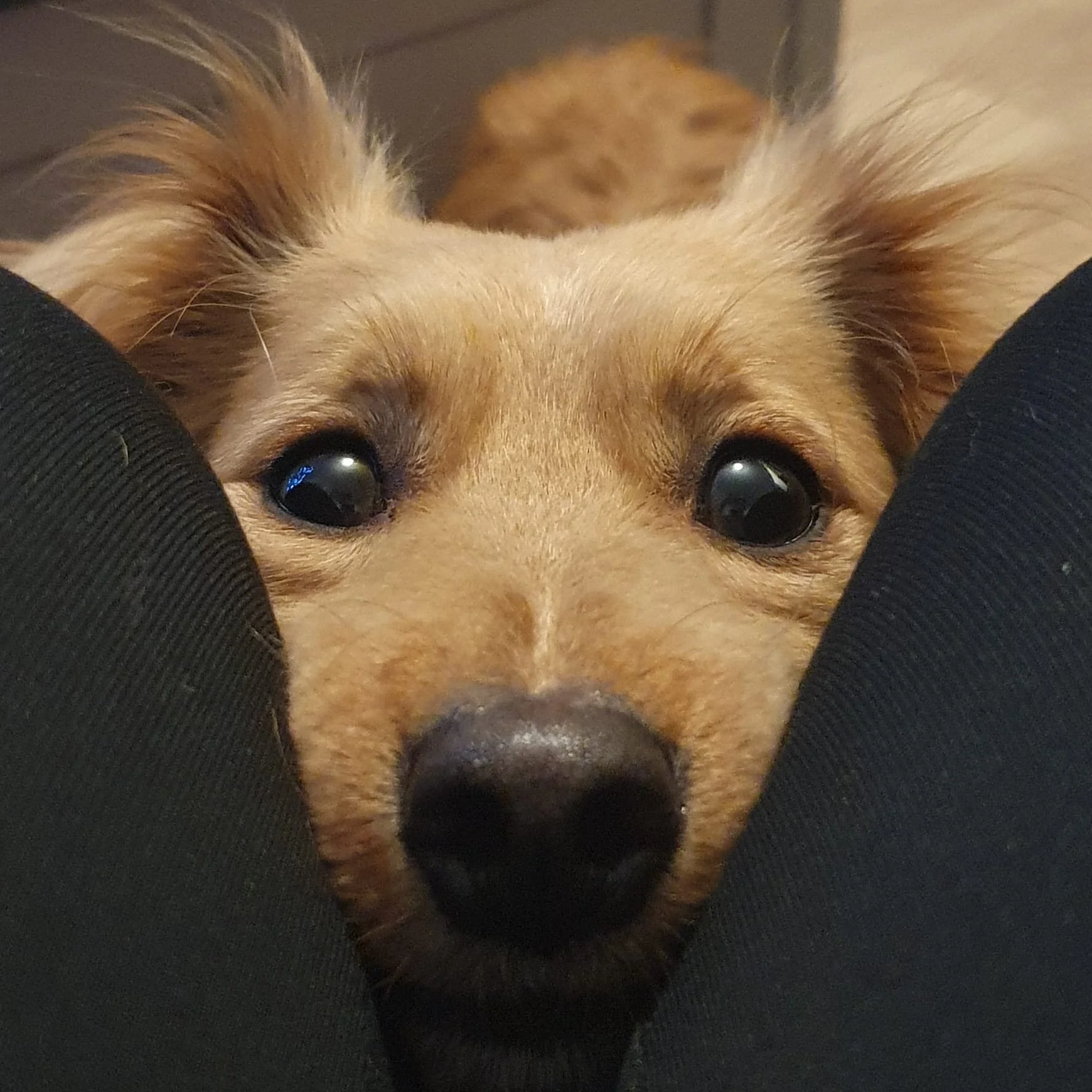 6F20BD52-F12A-43AD-86E9-E926A17BF27B