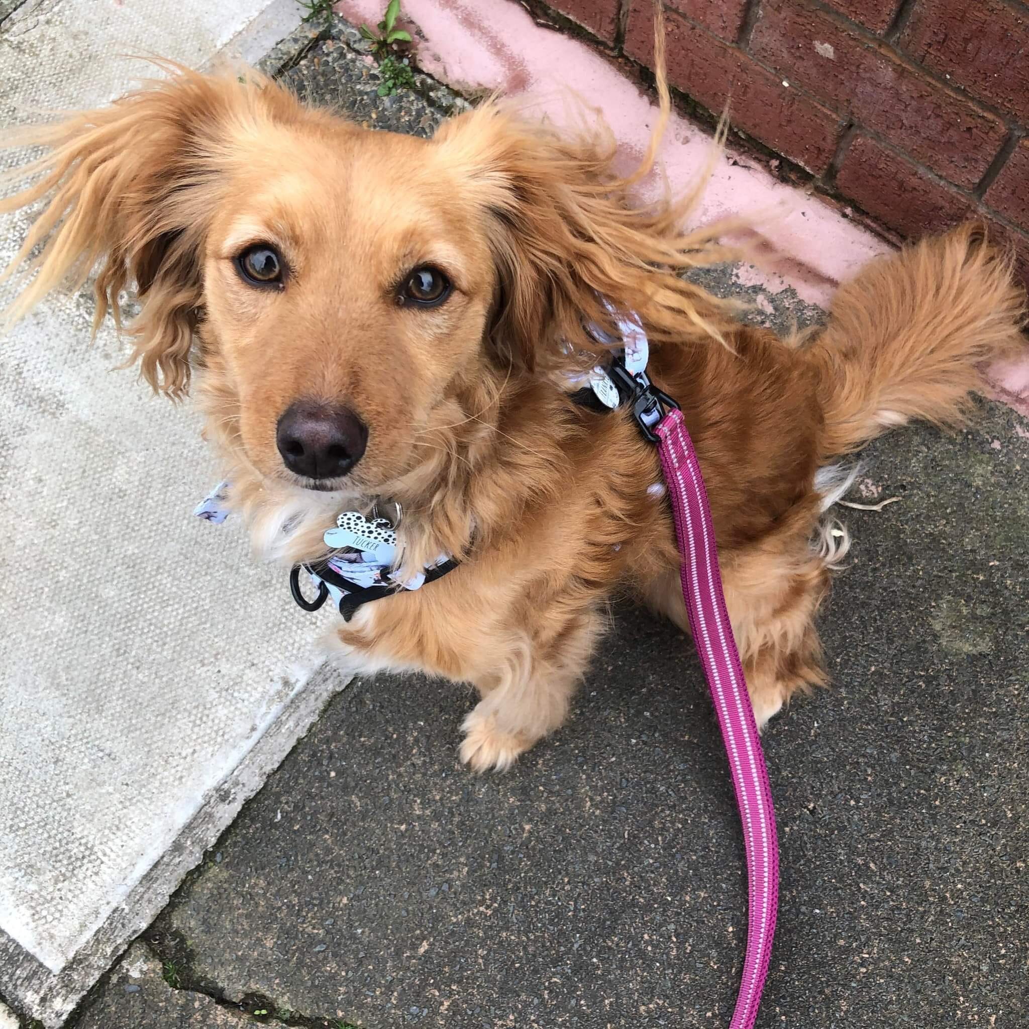 5DDB5D7D-2FE1-43E7-B9CF-FD32983F2B42