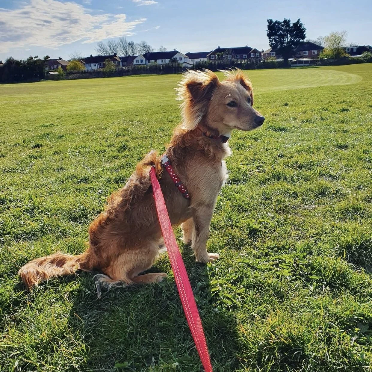 E9CFBF7C-5C7D-45CA-8074-D0787384CE6F