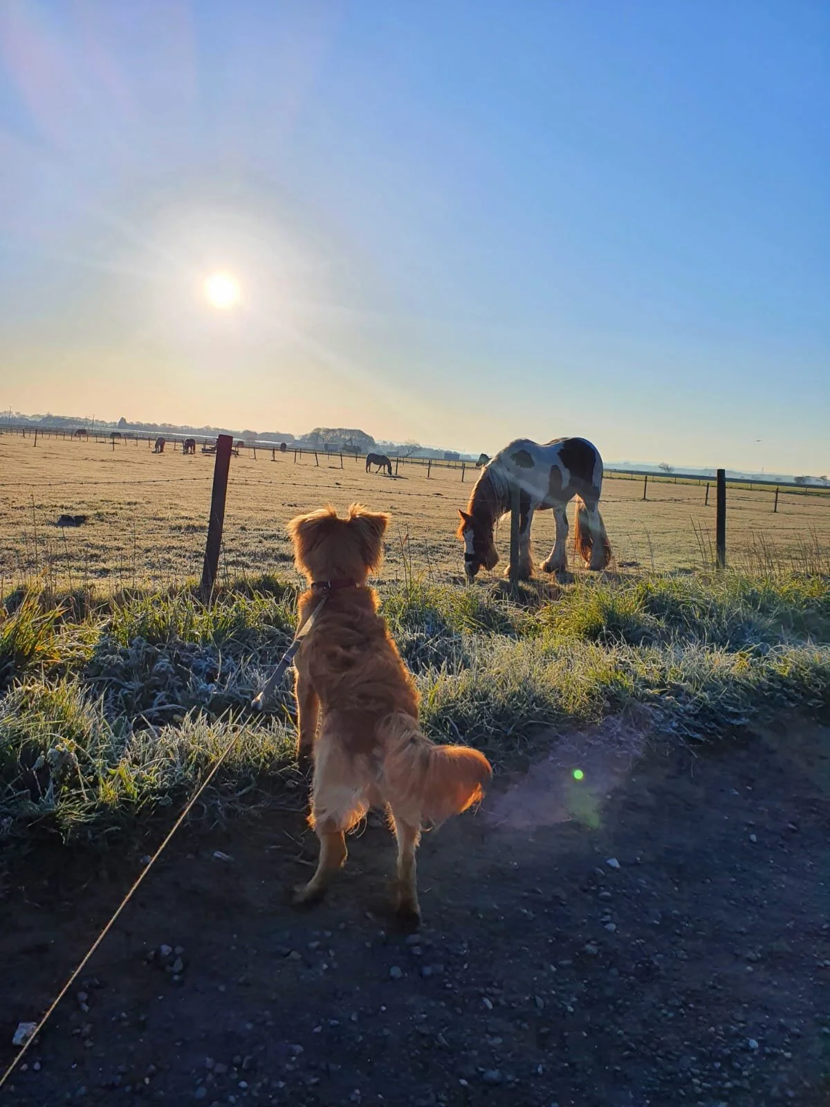 2153CE48-10DF-4789-9E3F-5609F51AEB72