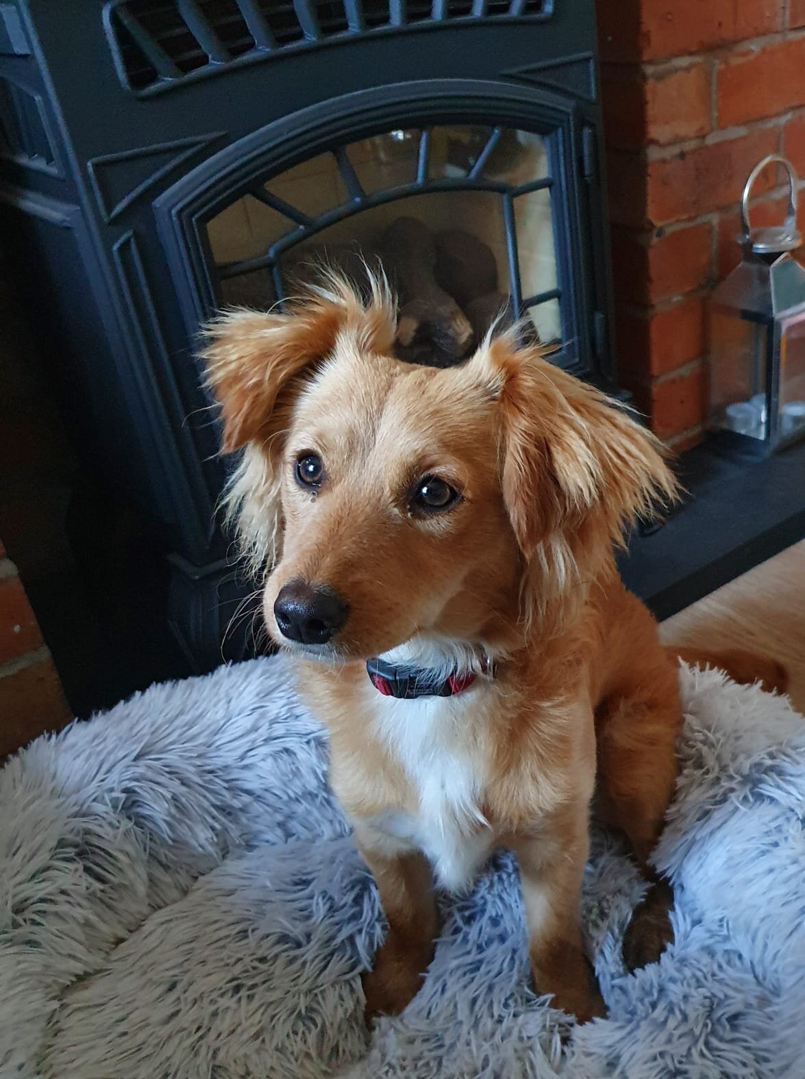 0F0E7046-7FF0-40E1-A355-3F52A731D163