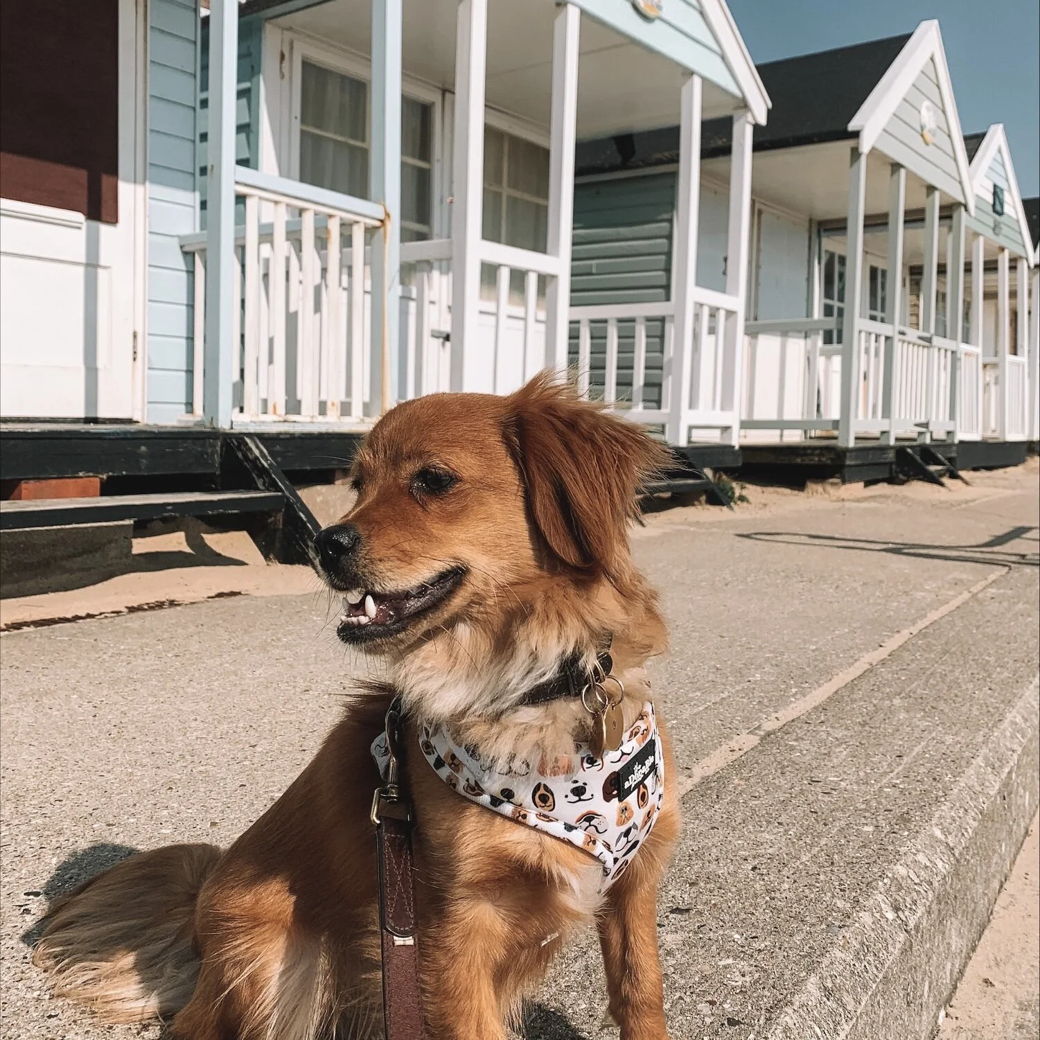 6B0F50A8-5DF3-4300-9B98-48D60AD8FDEE