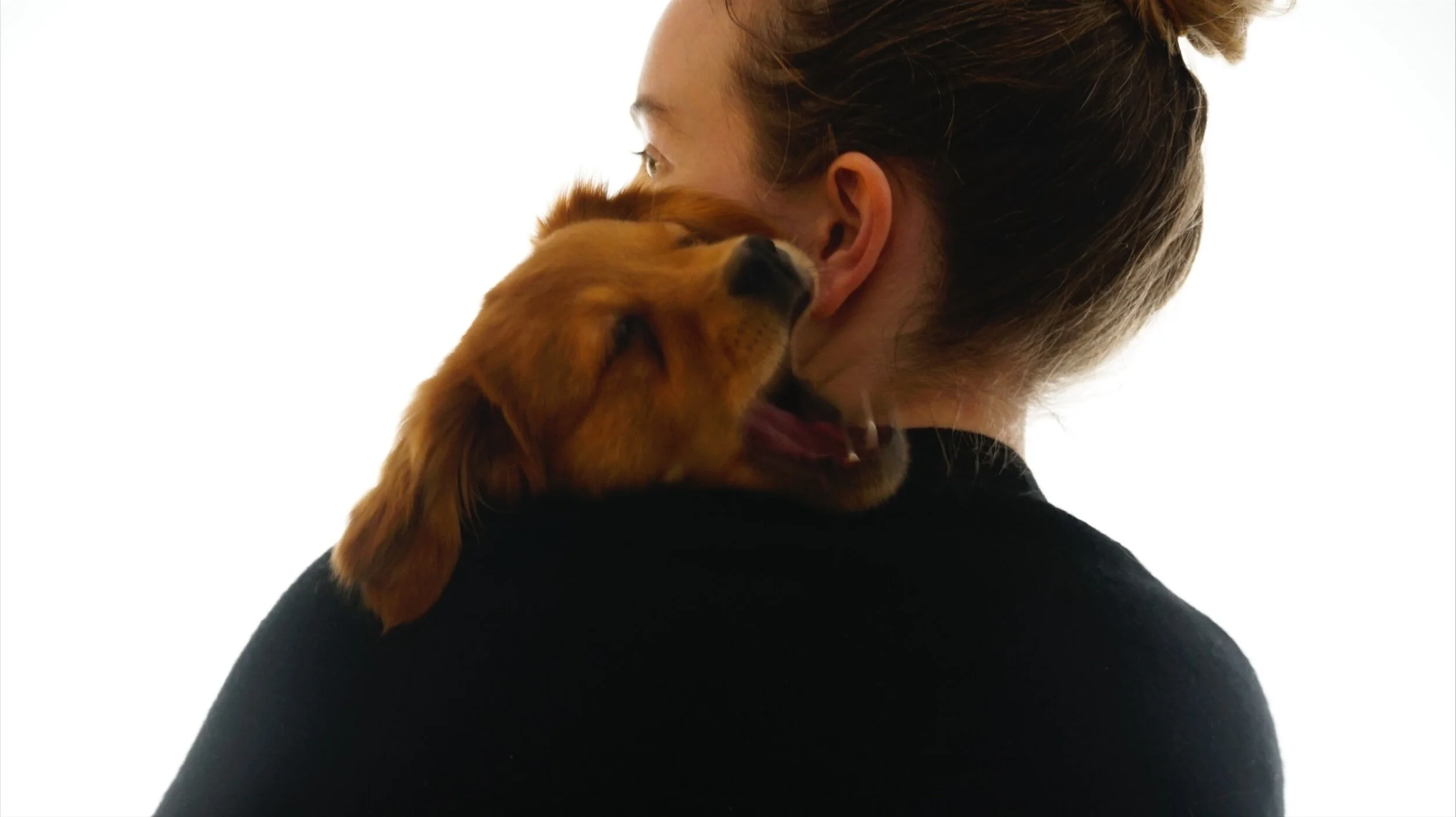 F5CC23AC-949C-4942-8FDD-7D6FBC1388E1