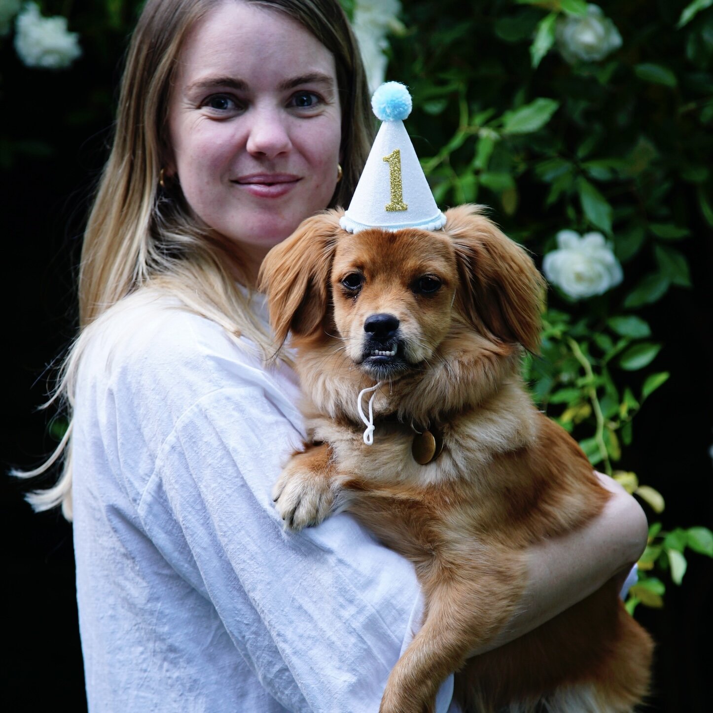 997D8044-CA4D-436D-A55B-A86AA0EC9149