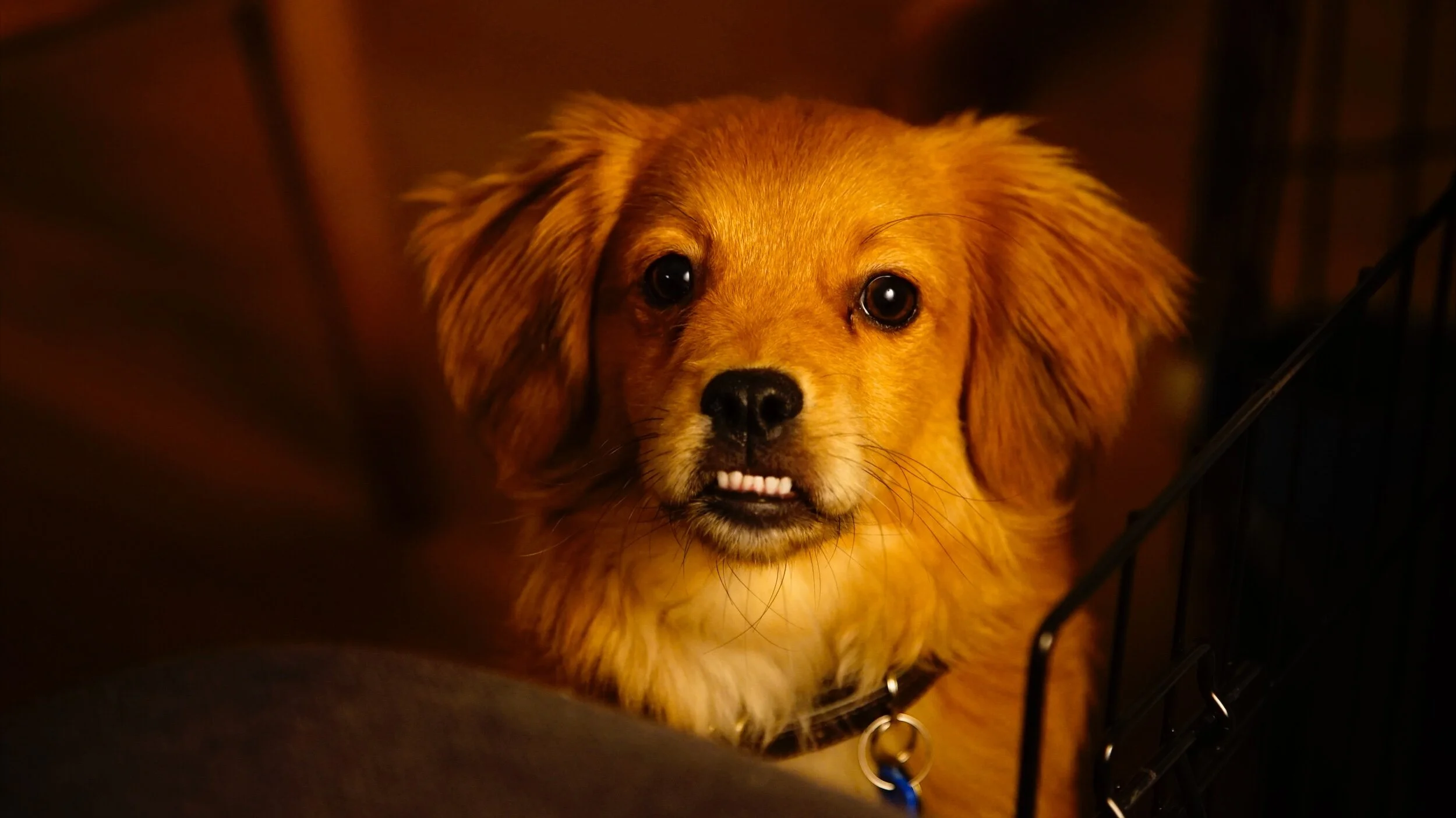 67FB0036-15DA-444E-B2FA-1015E15B95E6