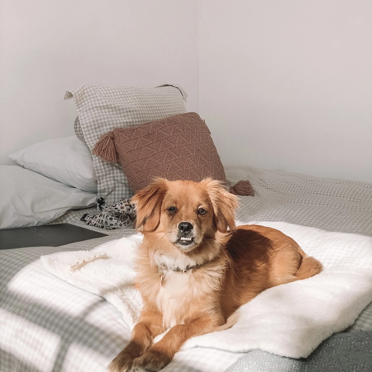 8313B23D-C498-4ED9-8AE3-E5B61C05DC4E