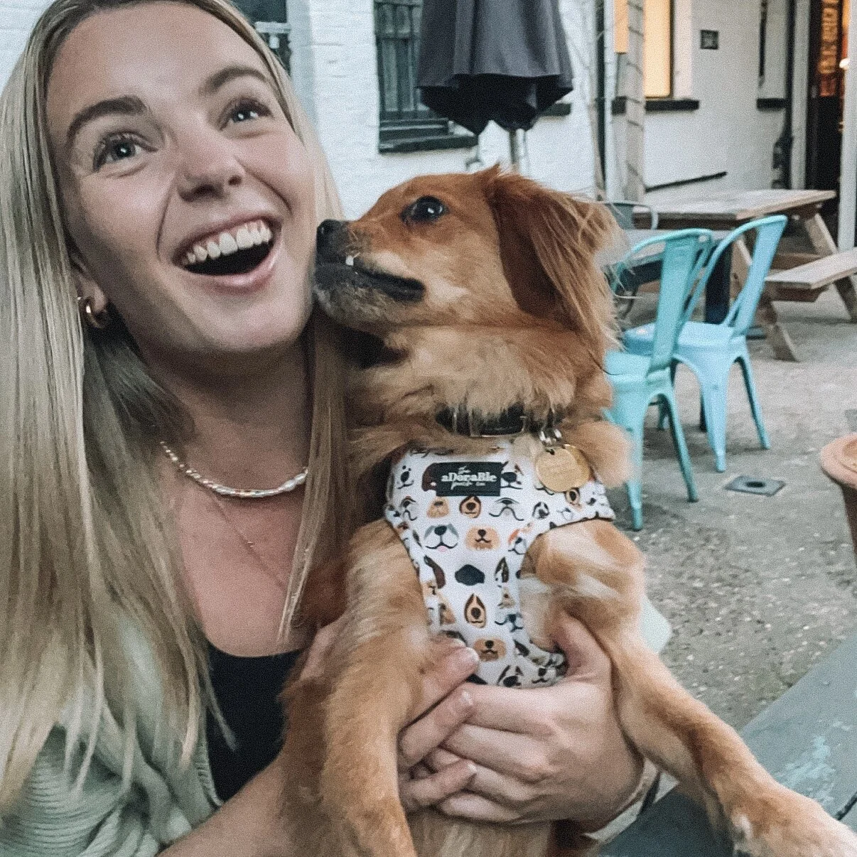 09C00E69-EE6B-409D-8067-F687ECACAA89