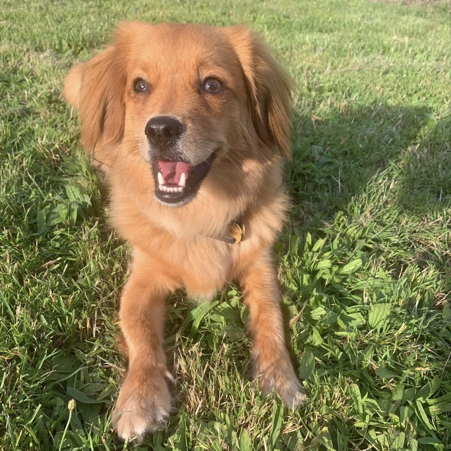 732F6FE9-946A-4605-AD39-501B9E9449E5