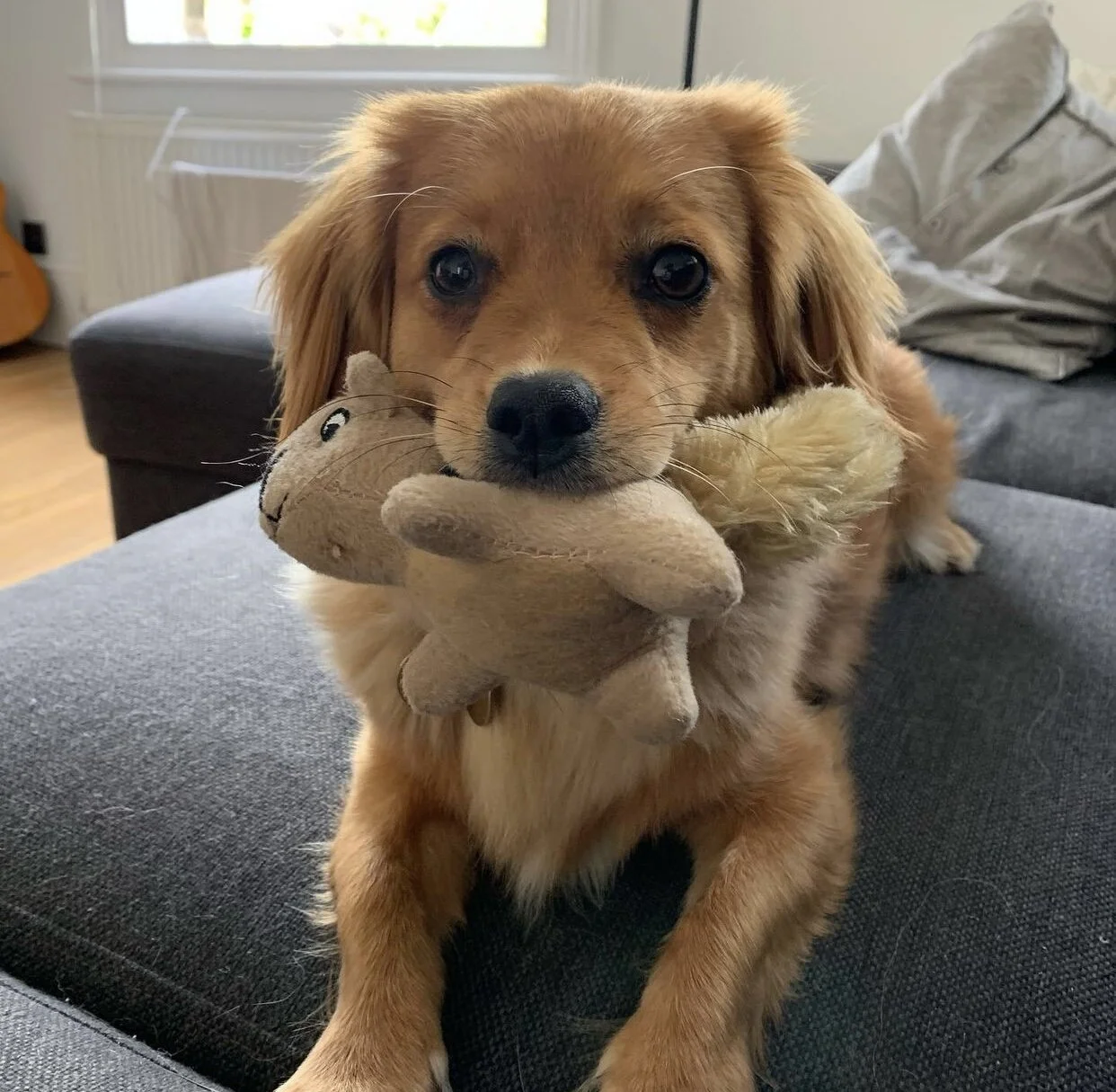 CCACE874-A0EC-4238-9A53-941410A5E4D8