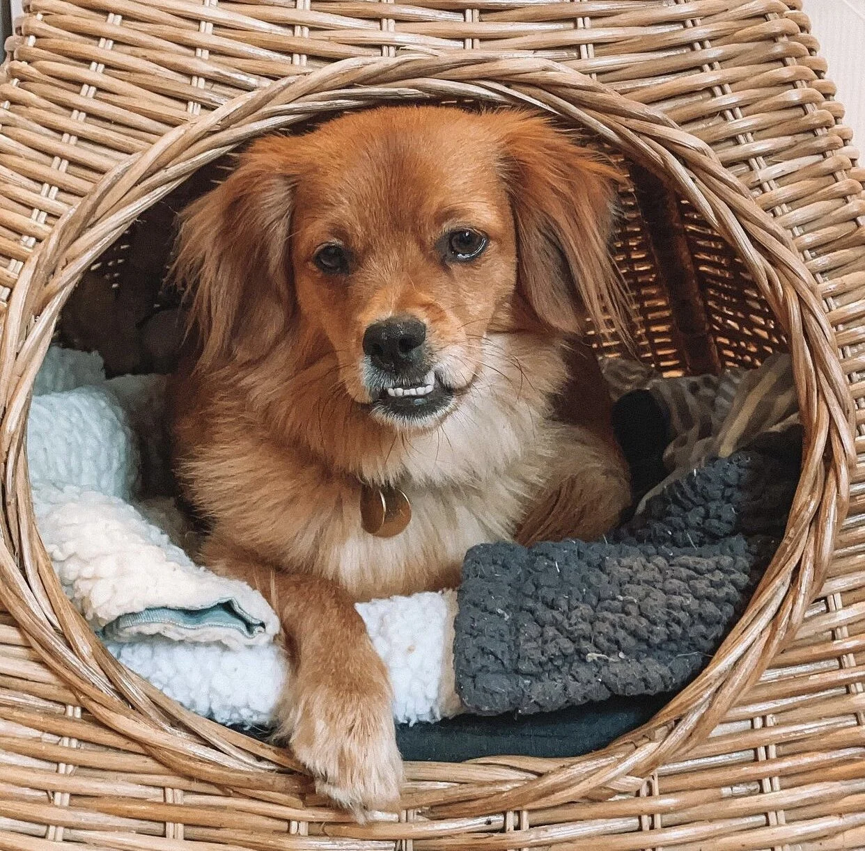 6FCB6B1F-32F9-443C-93CF-4255527CD257