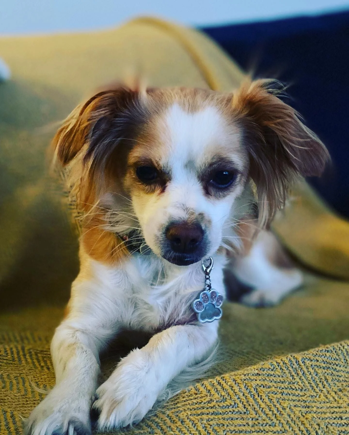 5D59CDBF-1FAF-4FBB-8F96-39263052A1B2