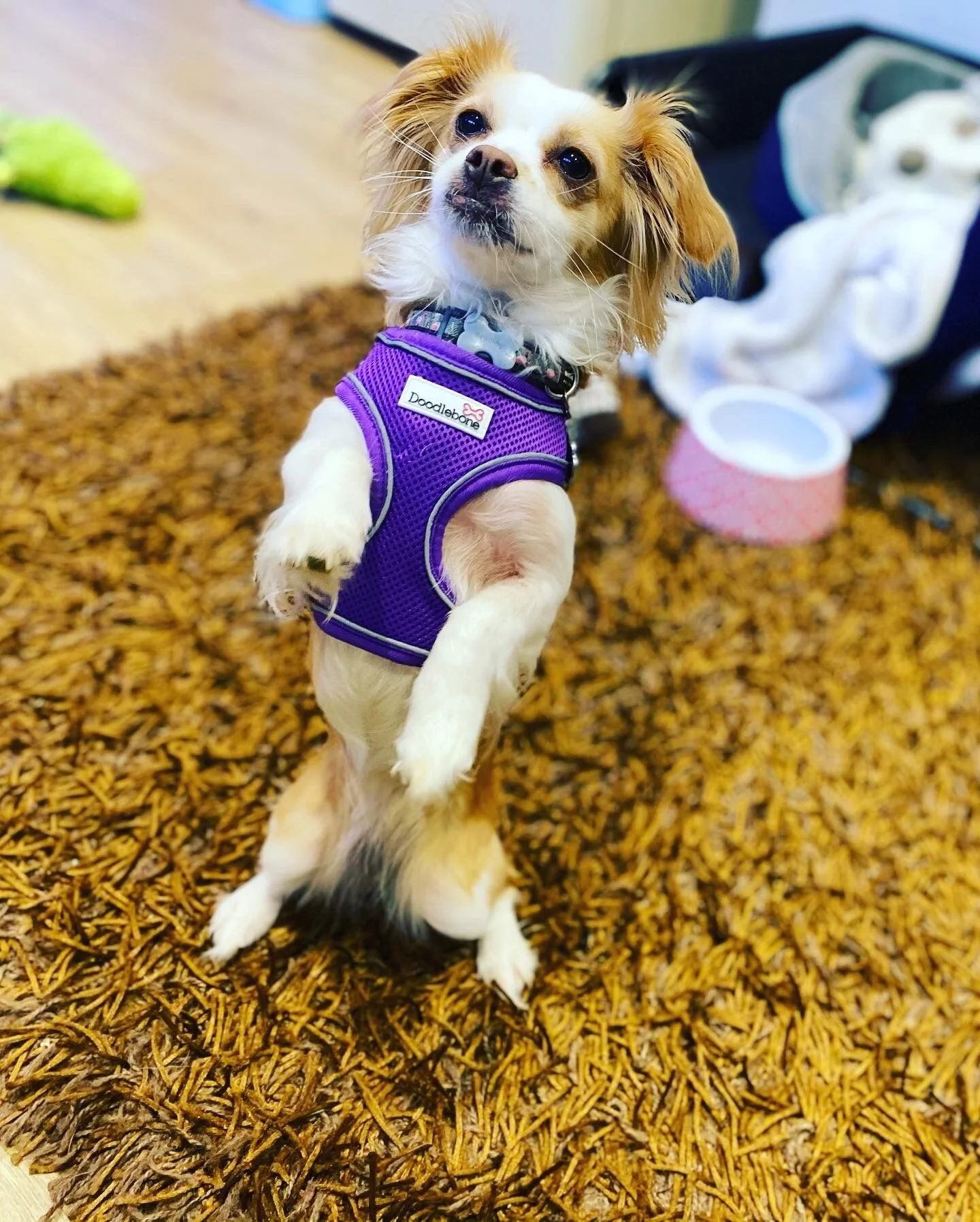 0CAC8E5C-2A97-402C-8822-470F80885A68