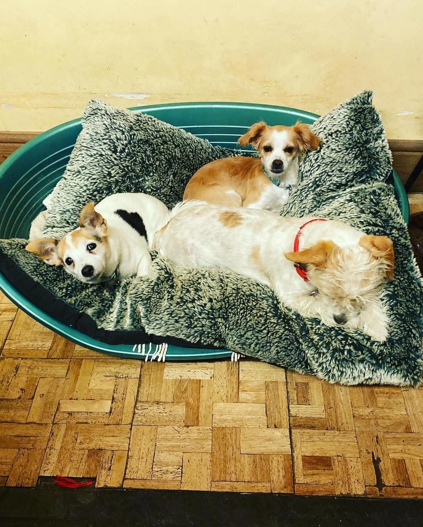 02ABD21E-5A0C-4B08-A429-818F14499C79