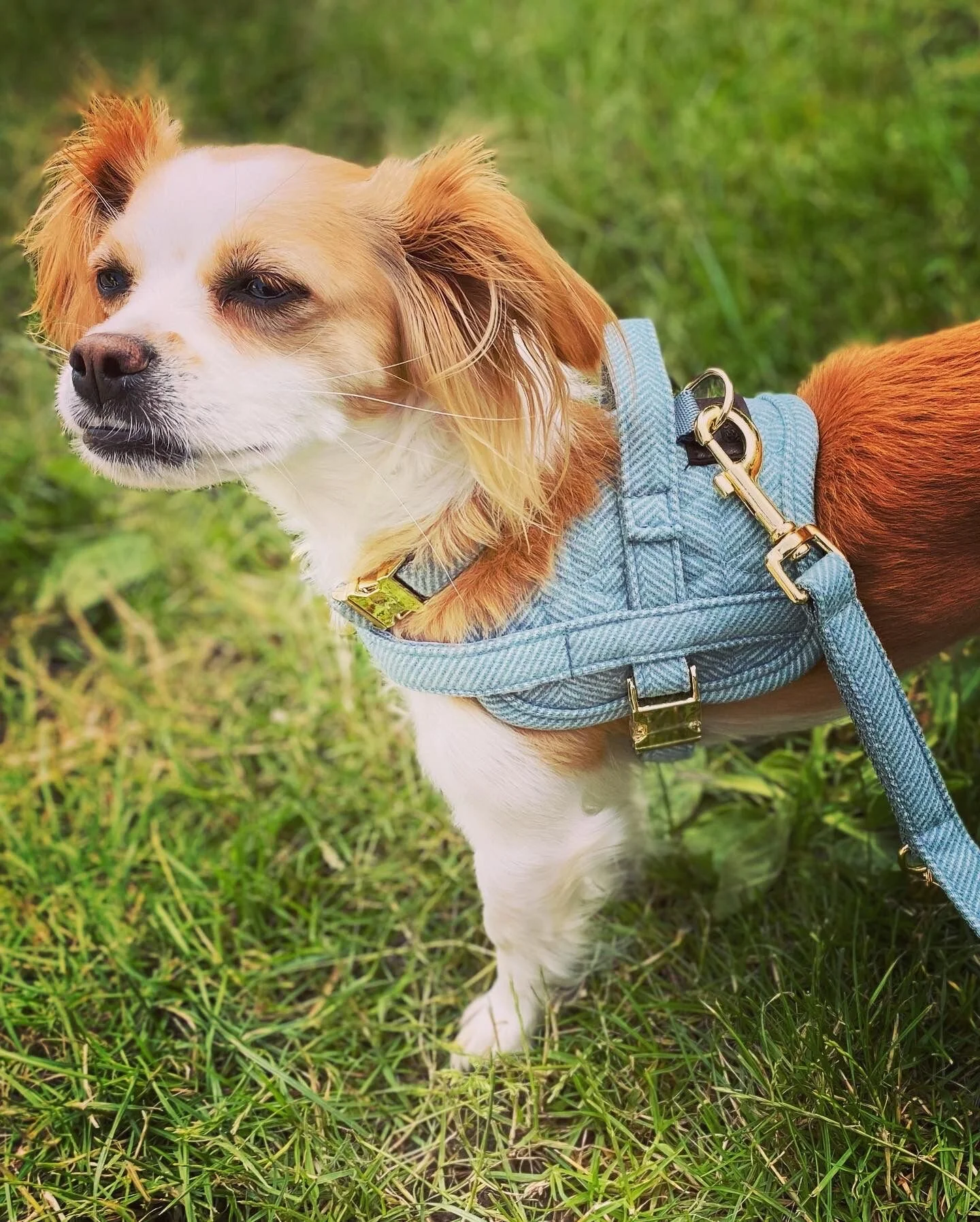 3ADF9AFE-AB4C-4890-B222-39BC595FFAF6