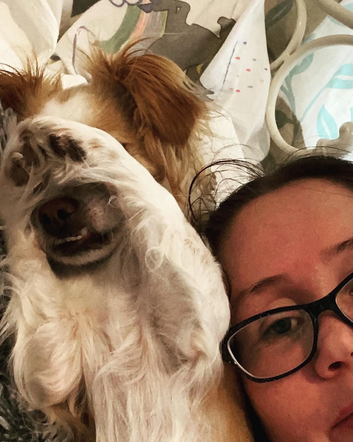 28287E10-33B6-40FB-8827-49A001DA29D2