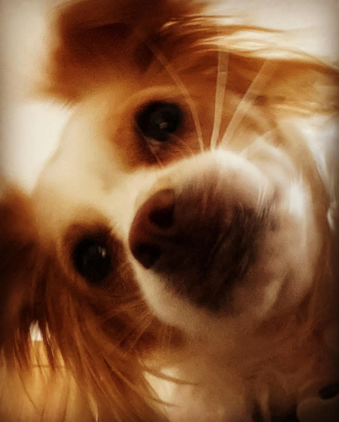 132BFED5-323F-430B-ABAC-CDA0D048205F