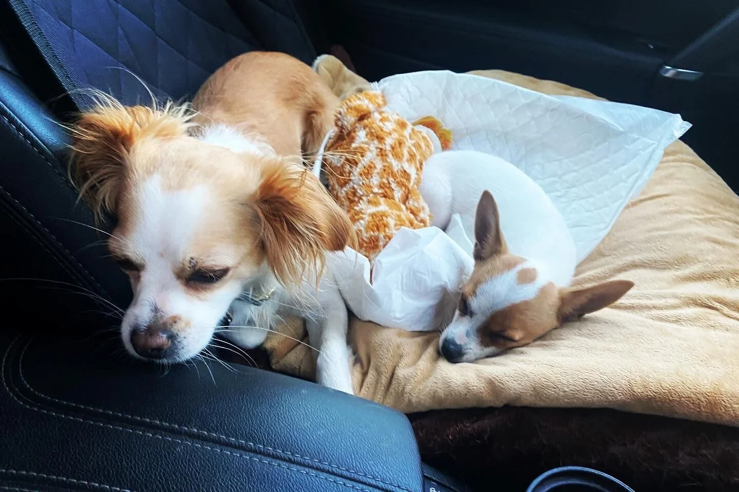 B4CB4BC2-FC82-4714-AC10-7D1D6E98C5F7