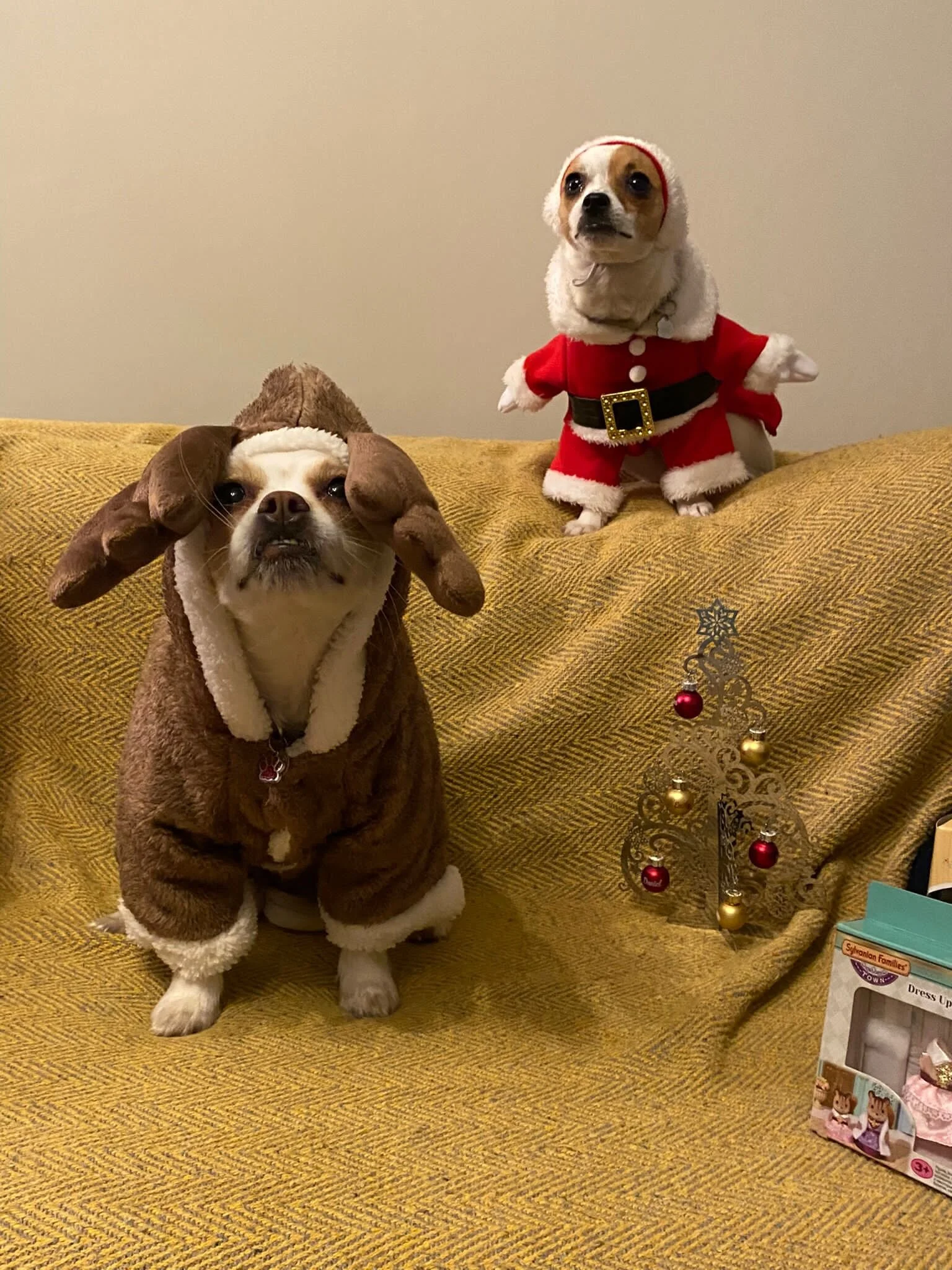 234B6EE4-505A-4633-BEE8-AB6E57A0866E