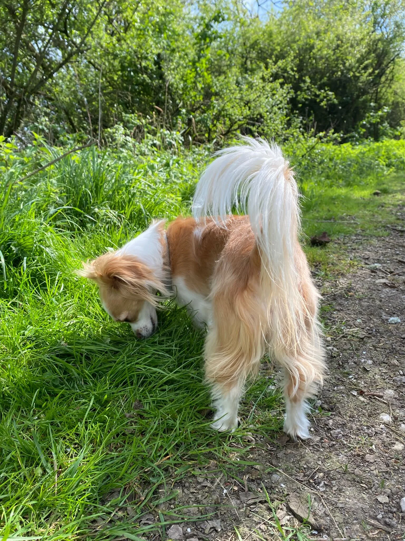 D3280E51-47F9-44E7-862D-AC6C246AA370