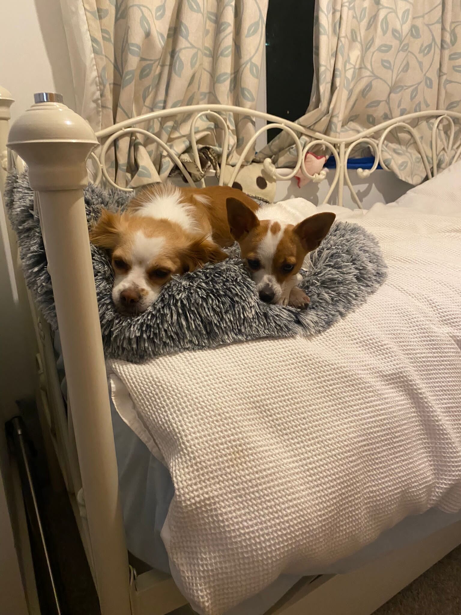 C0E0D2B3-4C52-43C0-B92B-B2A1CB0945E0