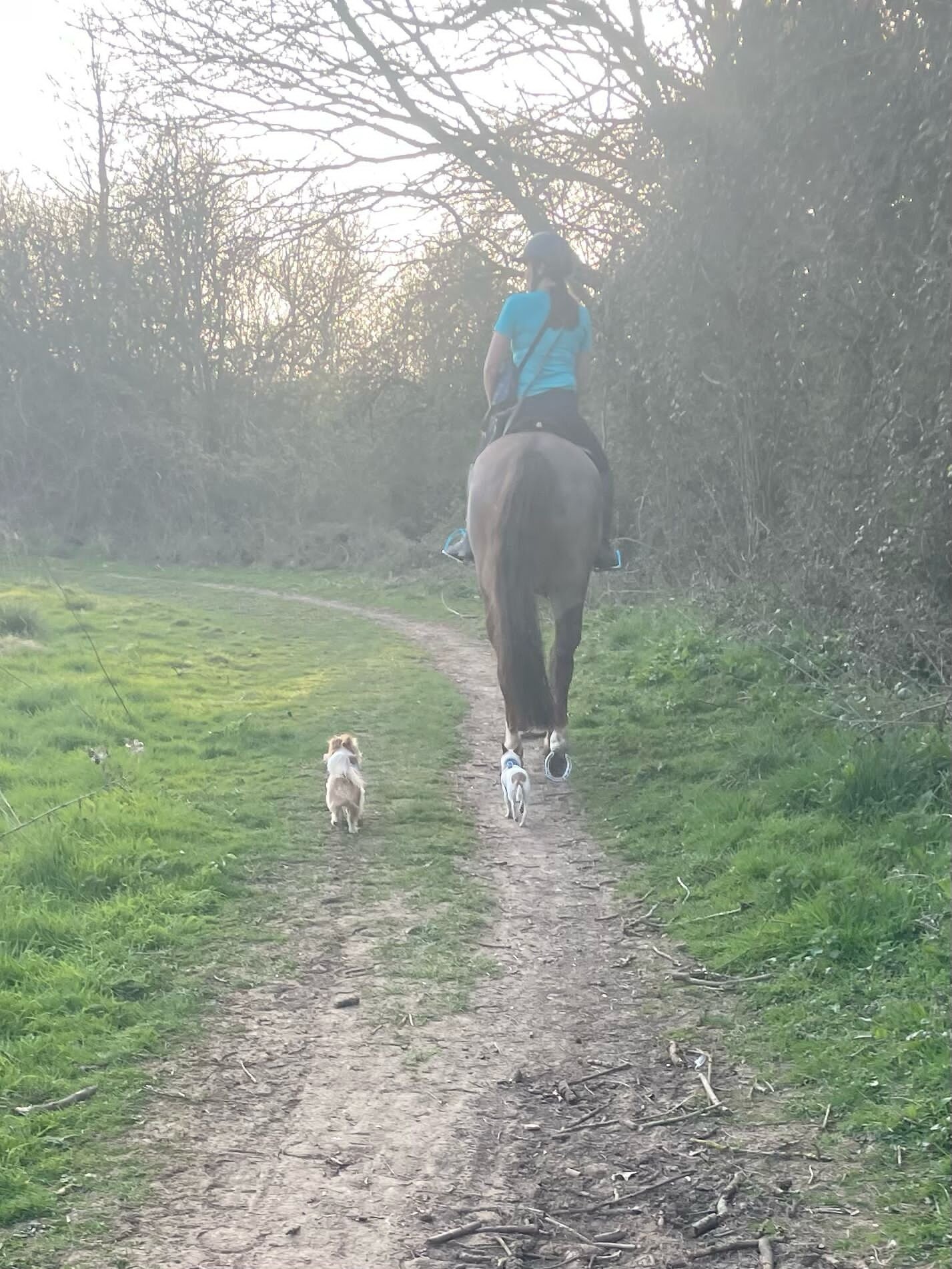 FB266FF4-D2FA-4B99-95B8-ECDDFE568AAE