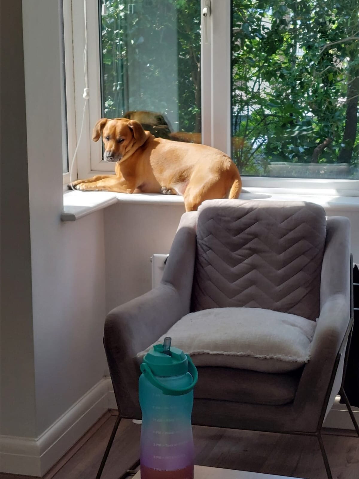 B42676B3-50DD-4AE0-9D3A-10EA726ED775