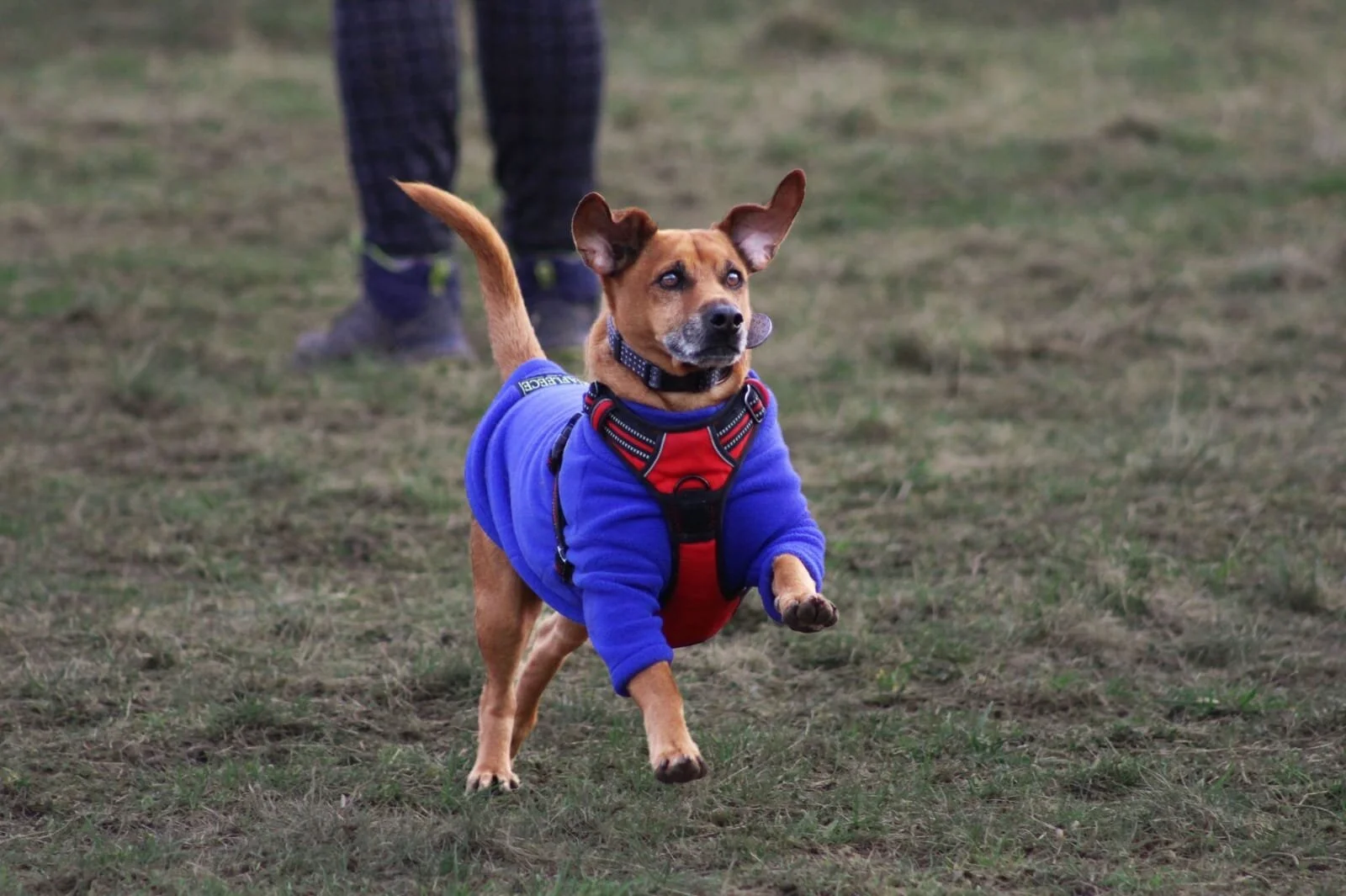 B2722395-F2E2-49BD-A64C-7D58860B753C