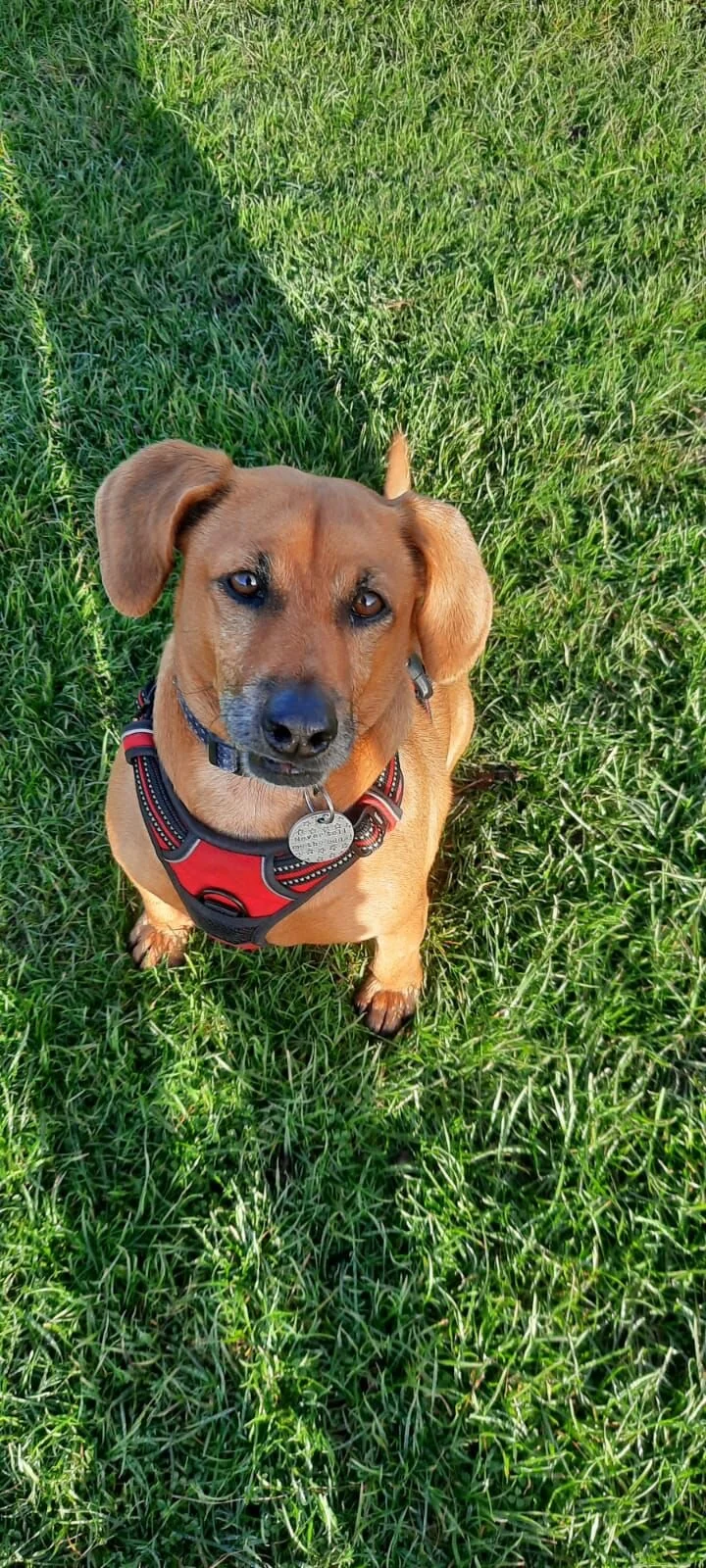 AC23639E-0765-4FA1-AFAA-7E49D1CDDD7C