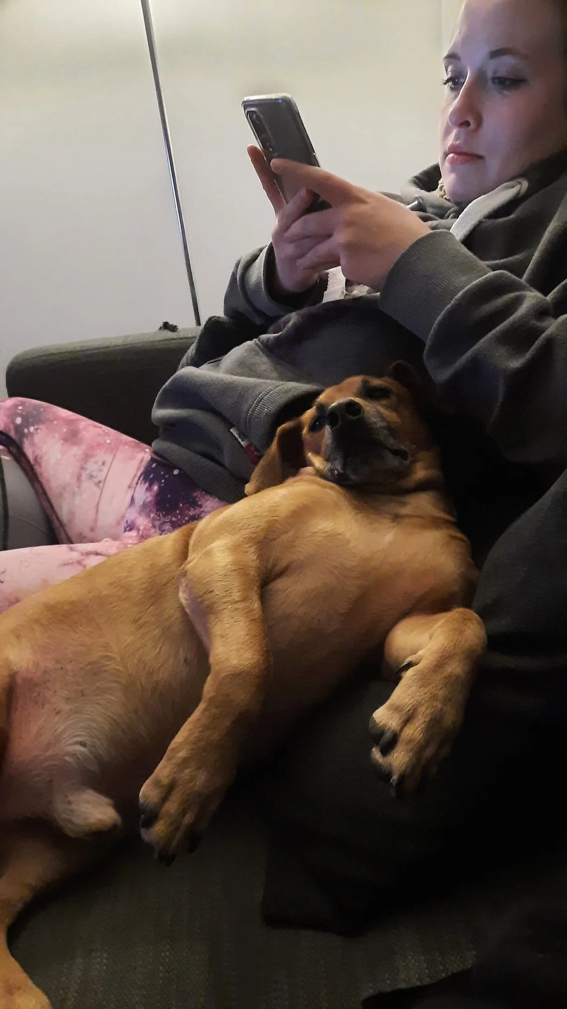 3DA3E817-29B2-45FA-9448-AF2B7EC1052B