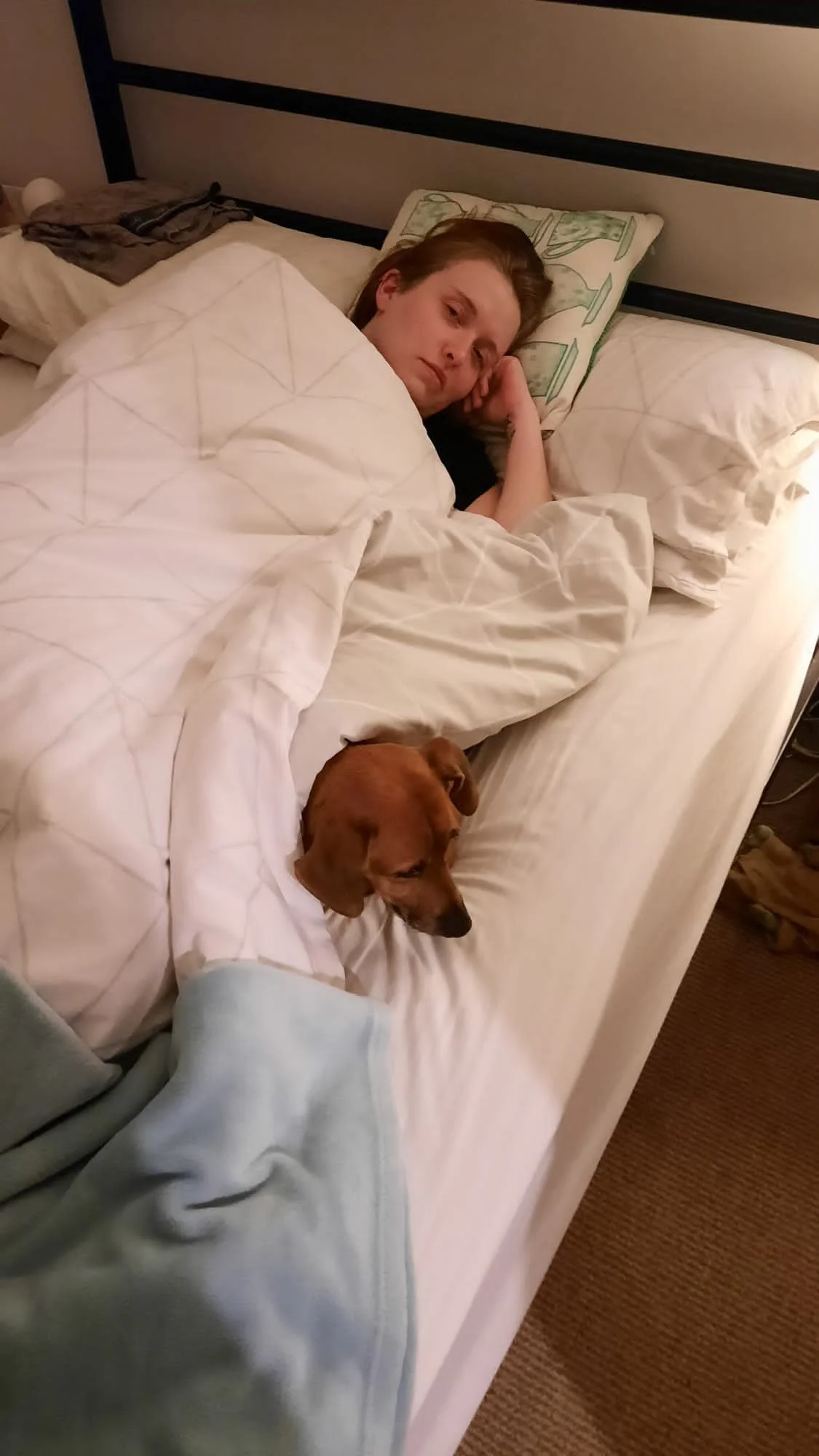 C6023D75-5BCB-4D6A-8AAF-C76B8373DB93