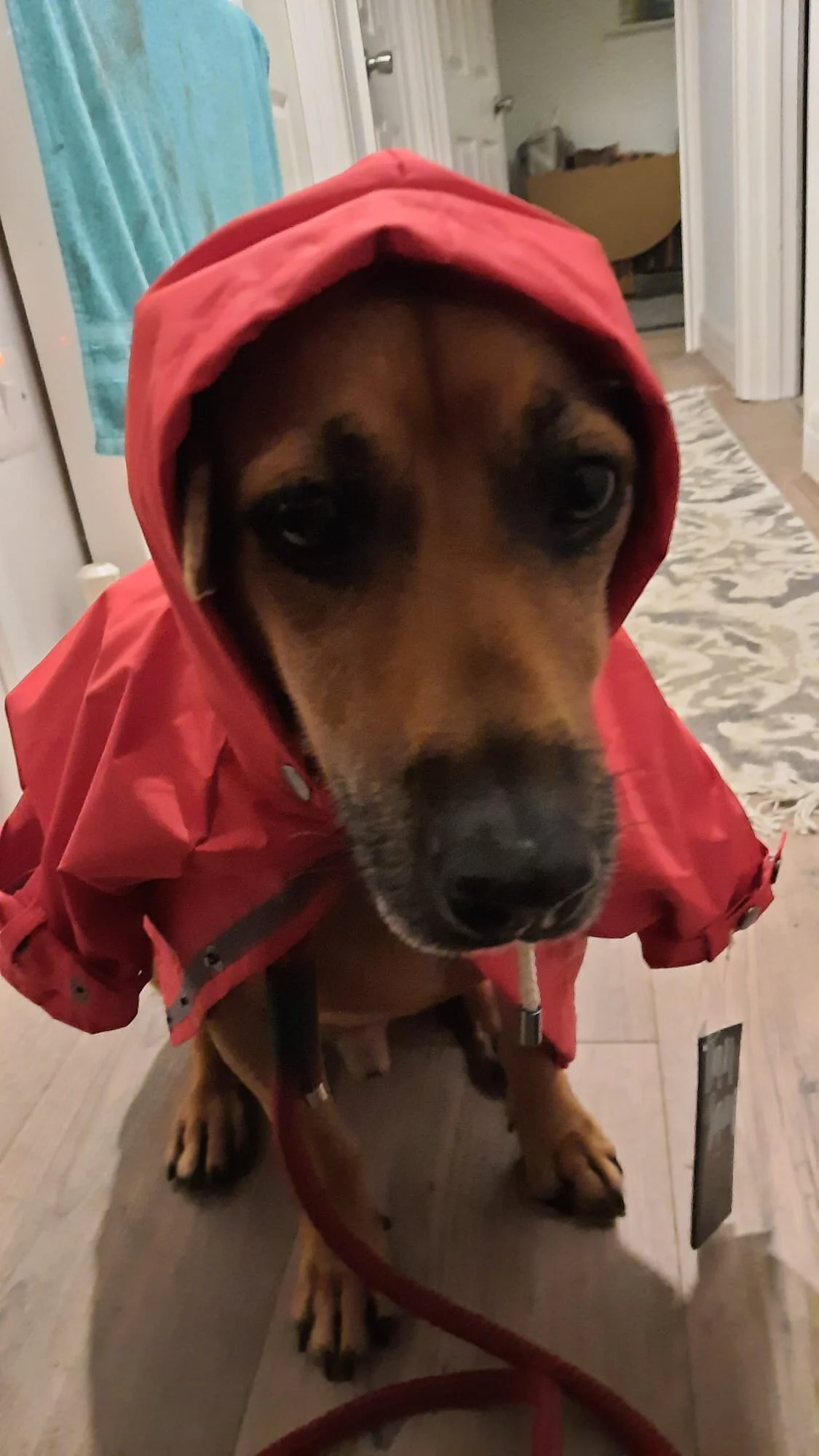 B20FEE41-FA27-4289-B09F-C13581C845F8