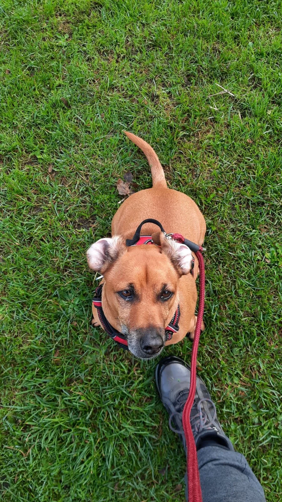 88444CDF-5348-415C-86D1-6E3D4A7FE1DD