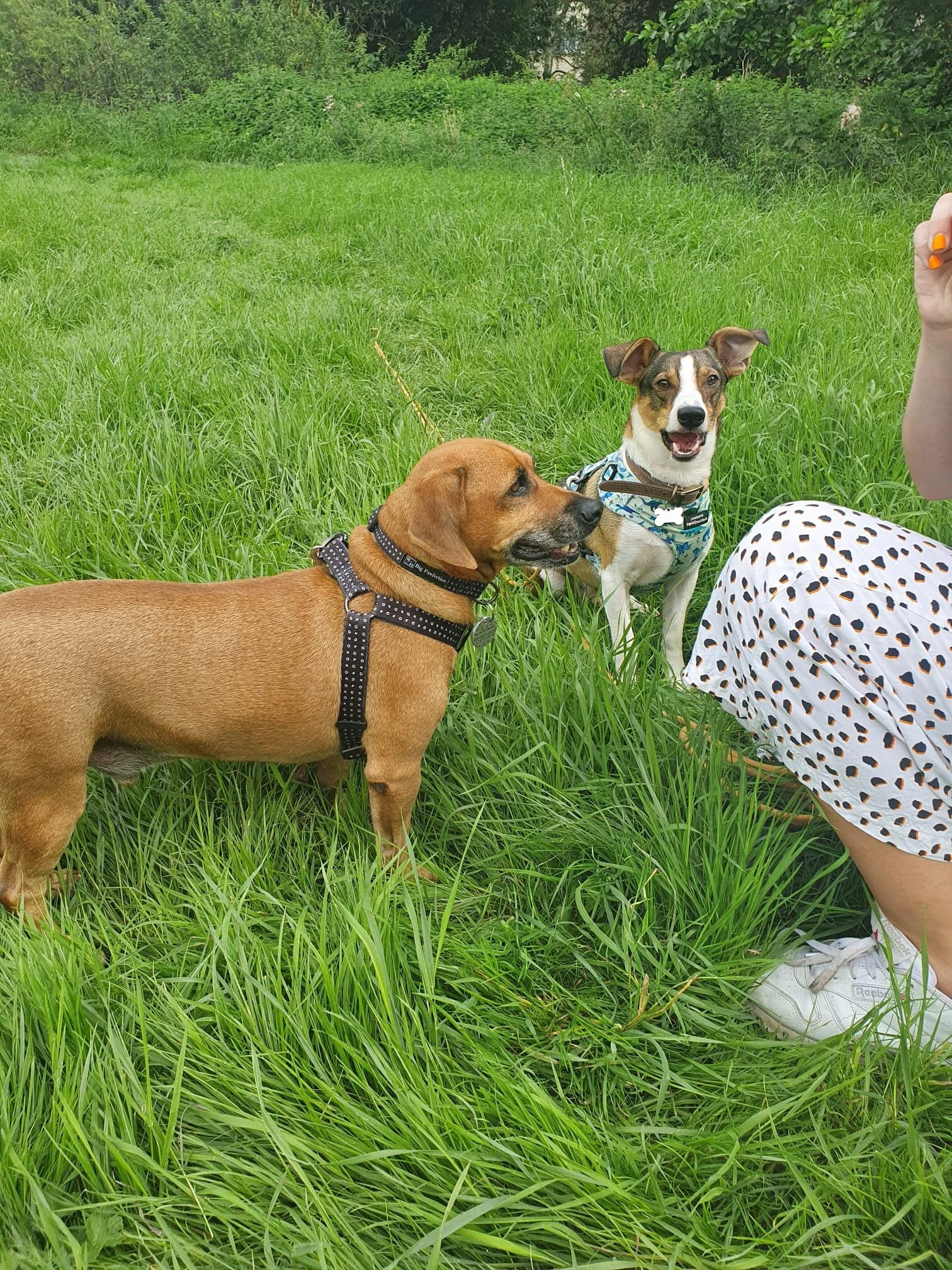 A289C054-D034-4D2F-83CC-E129F46828E3