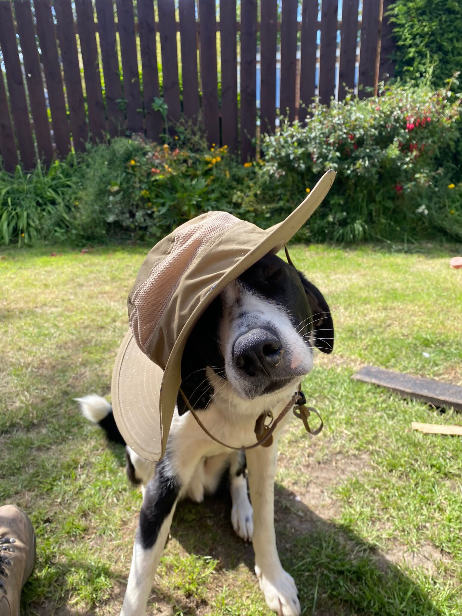 74615EDF-7180-4248-AF7D-DC97746359CF