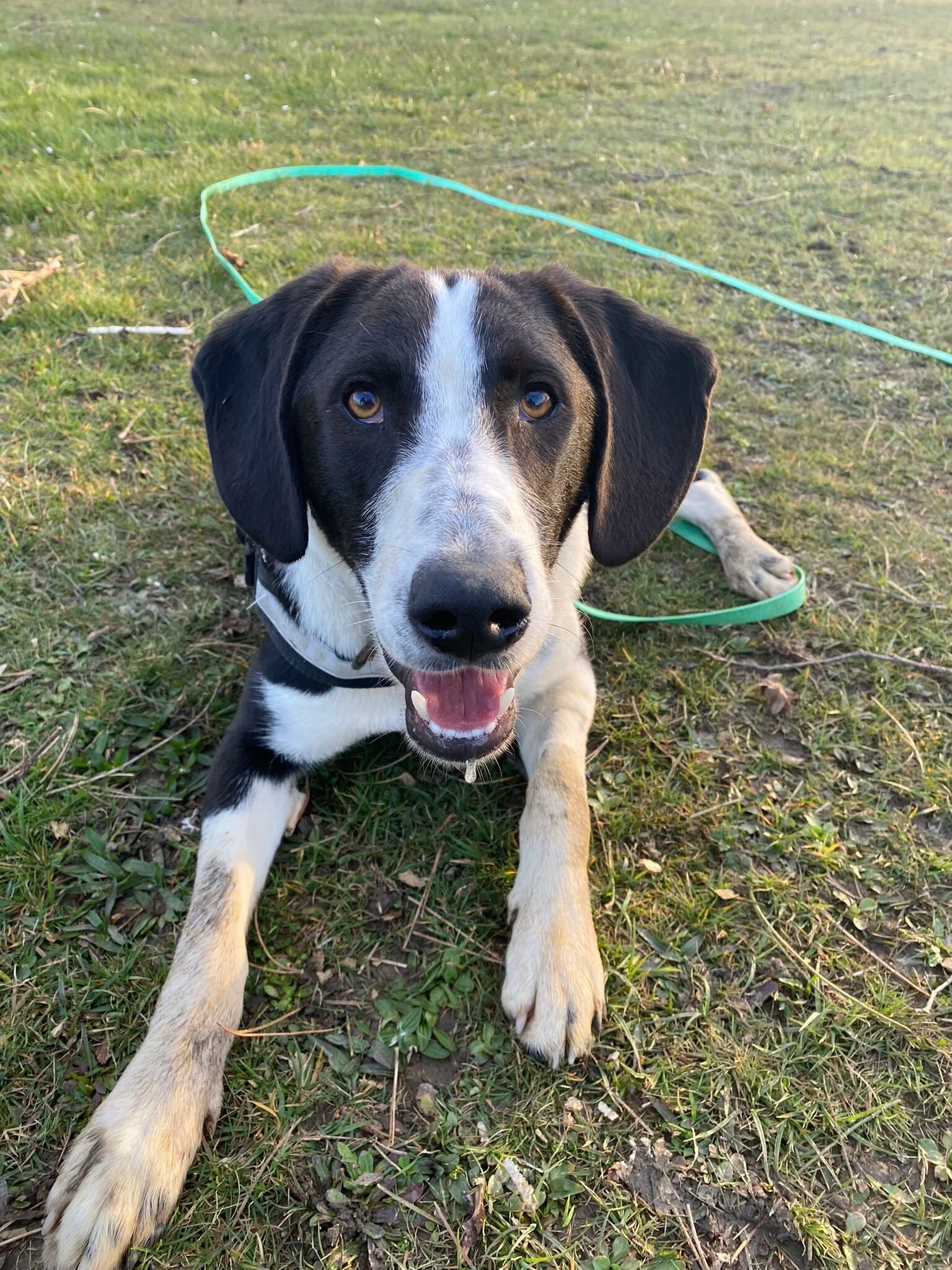 883518F6-821D-4237-AFF9-D212DB177080