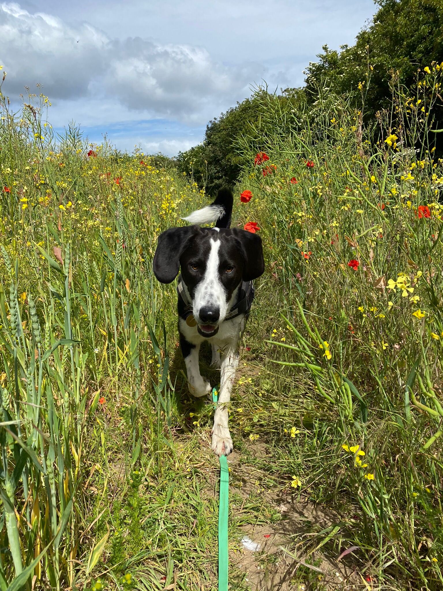 717A088B-3A28-482C-8B48-10D71EC9B9D3