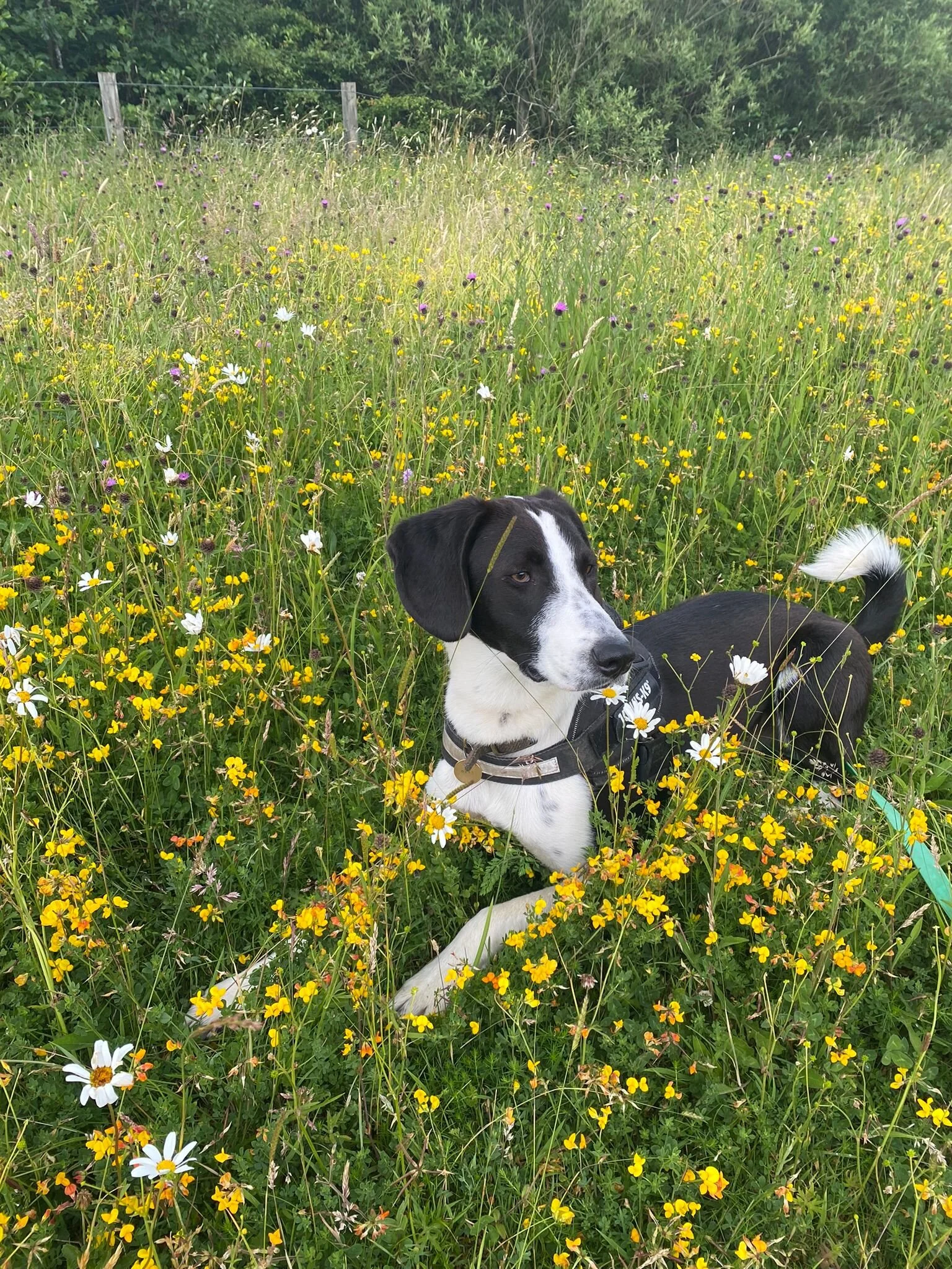 45ACC194-4BFE-4FE5-88E3-4EF6BC5F22E1