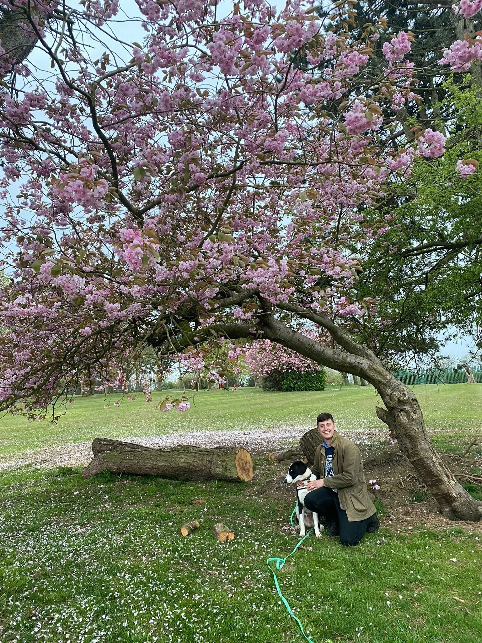 D28CCBC7-AD5D-45CF-B9AF-5E9260685307