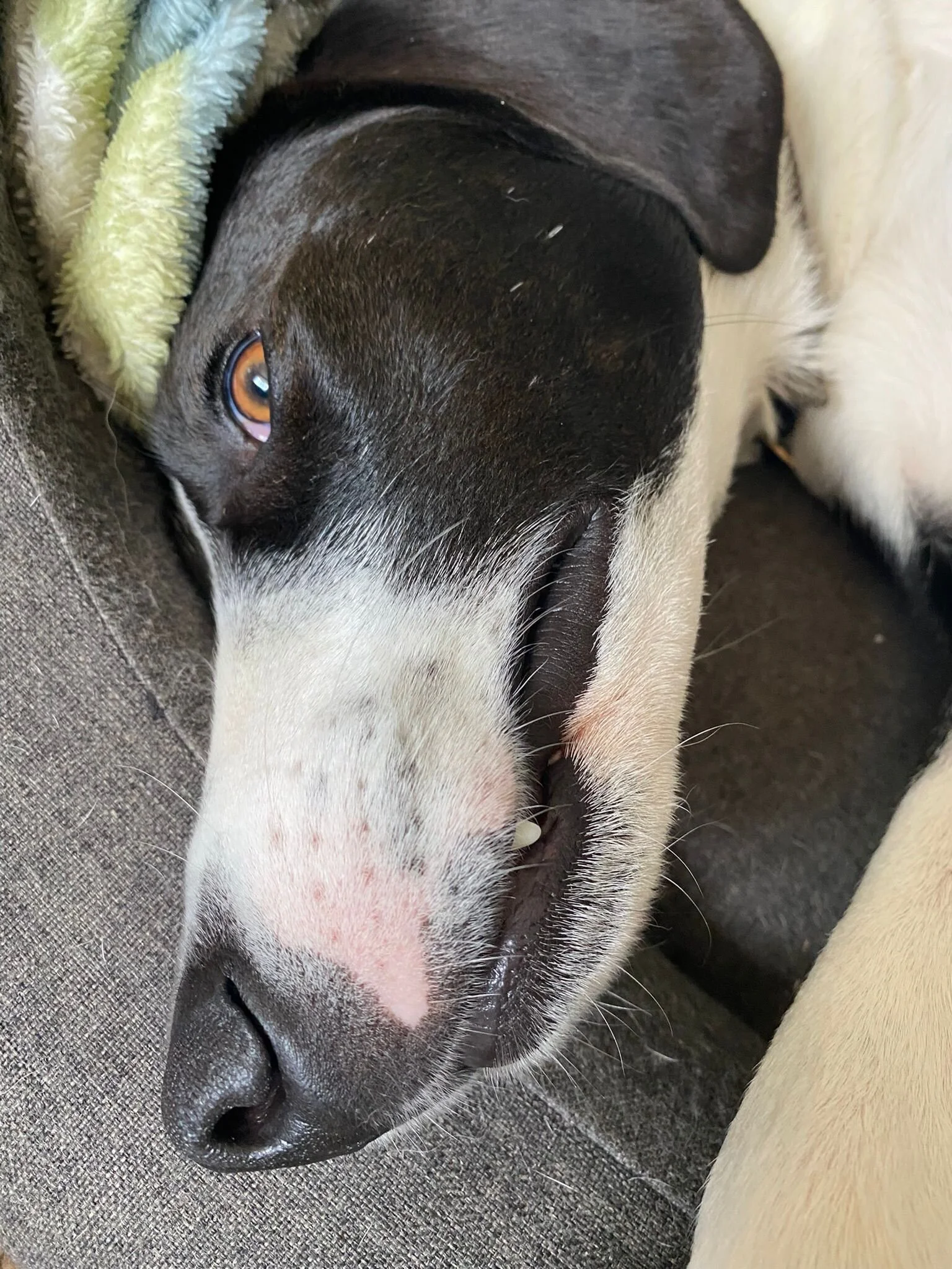 883BADE0-0DC8-491D-B6FA-A2A912C5D9BC