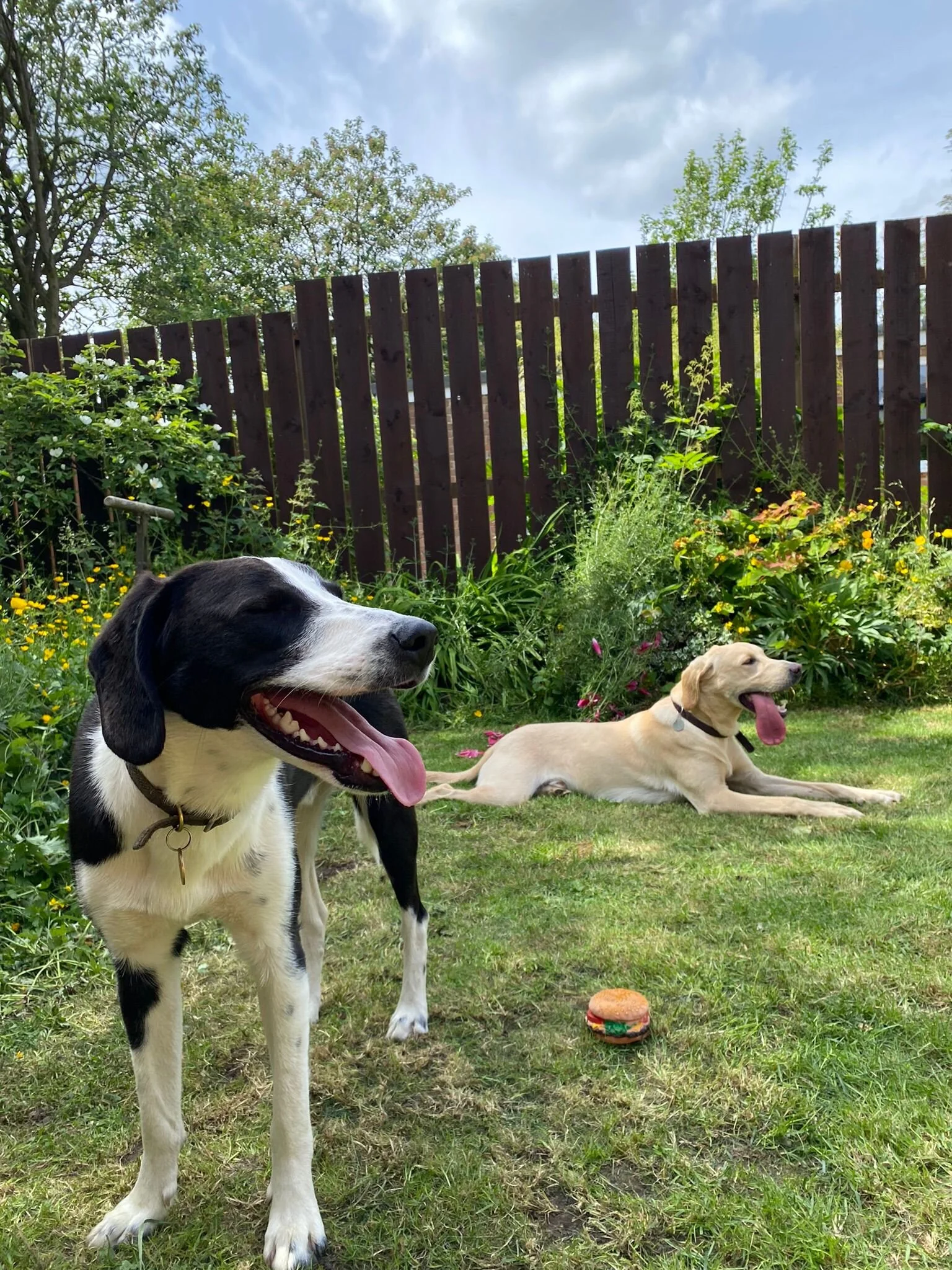 08319BDA-5EA8-4D9A-A3D1-687928524C77