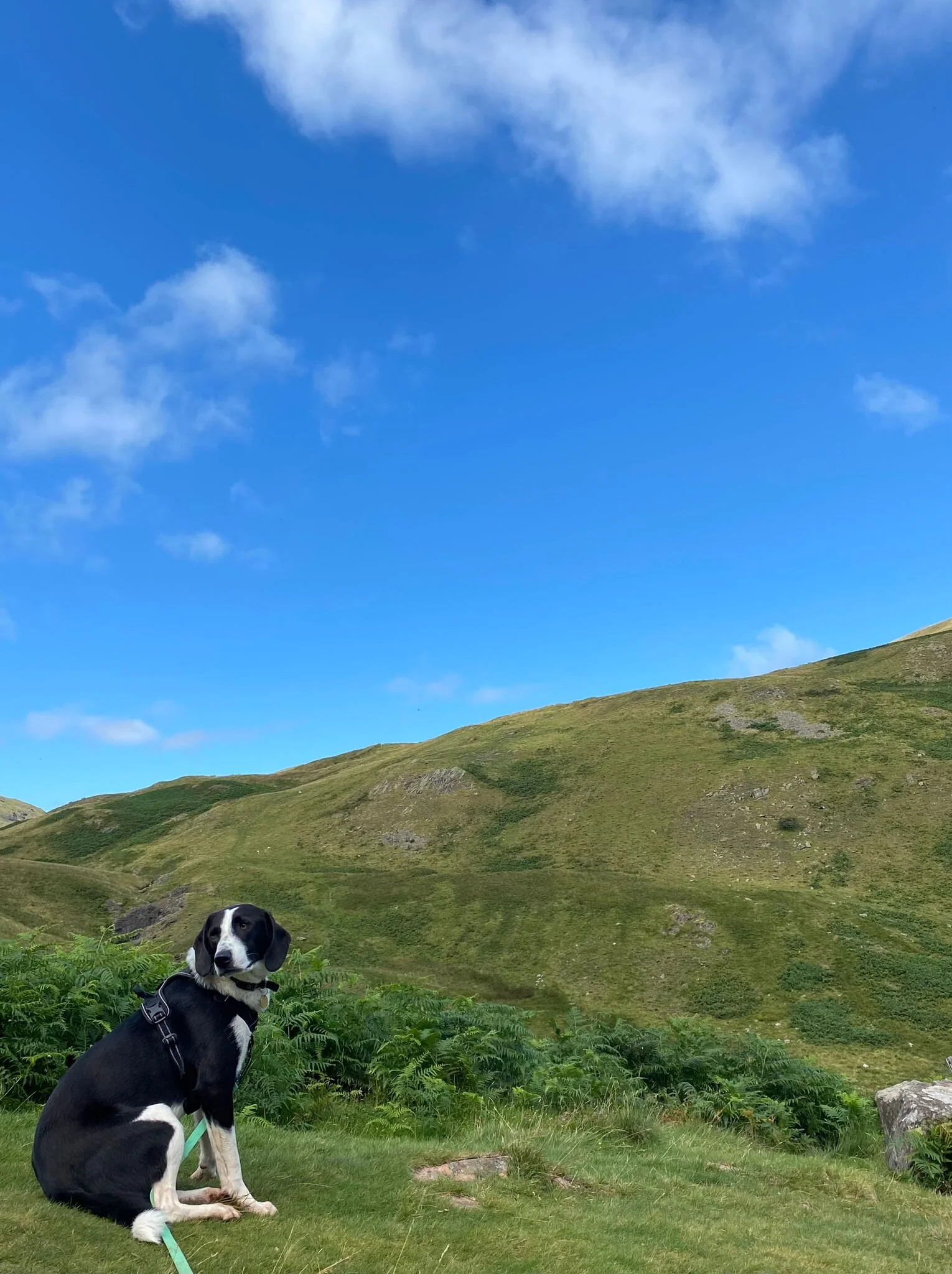 4FF10DB1-B208-4030-8486-C4C77C161824