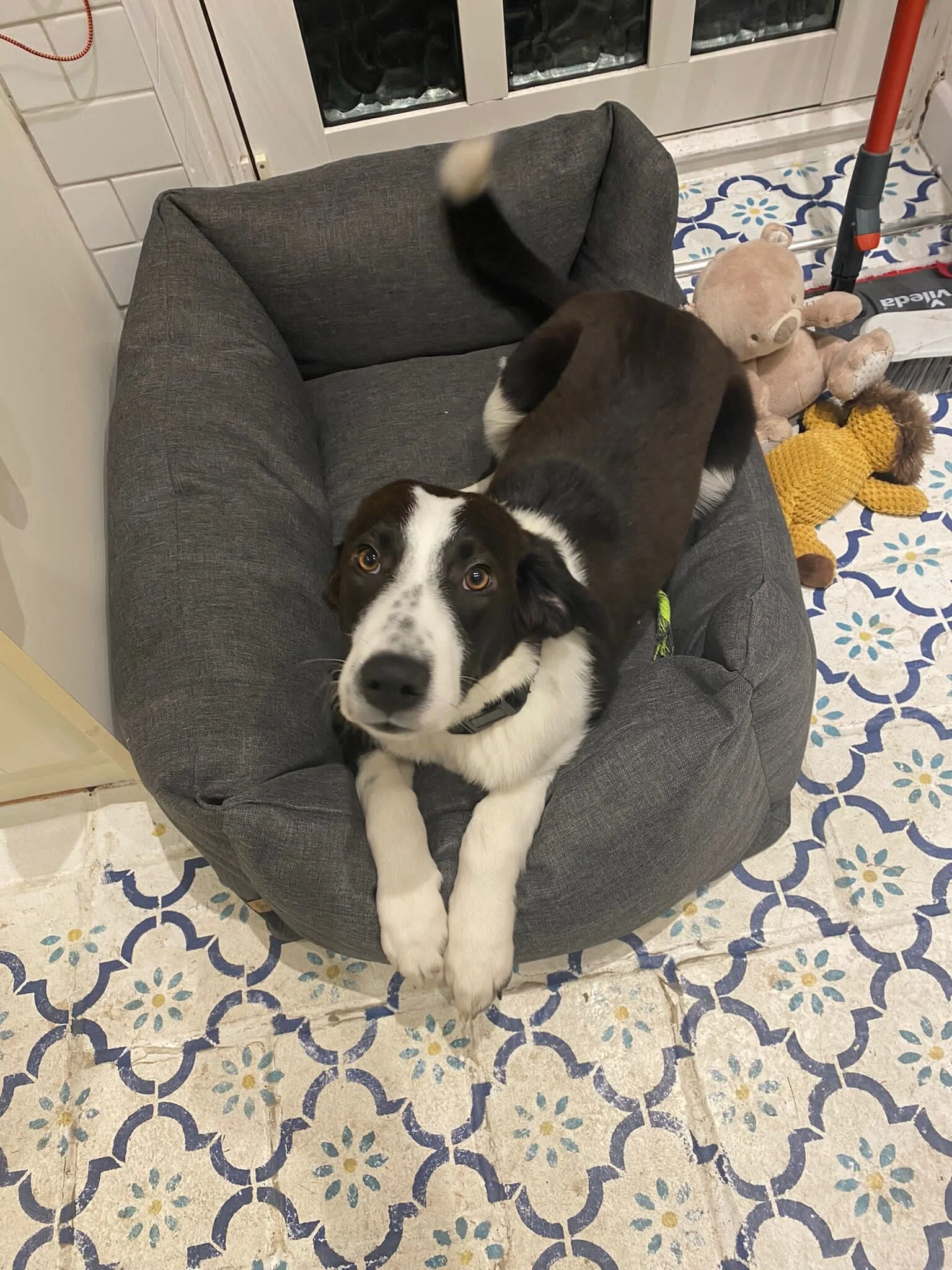 BD29268B-B27E-494E-BBAA-B3FEAA3C895F