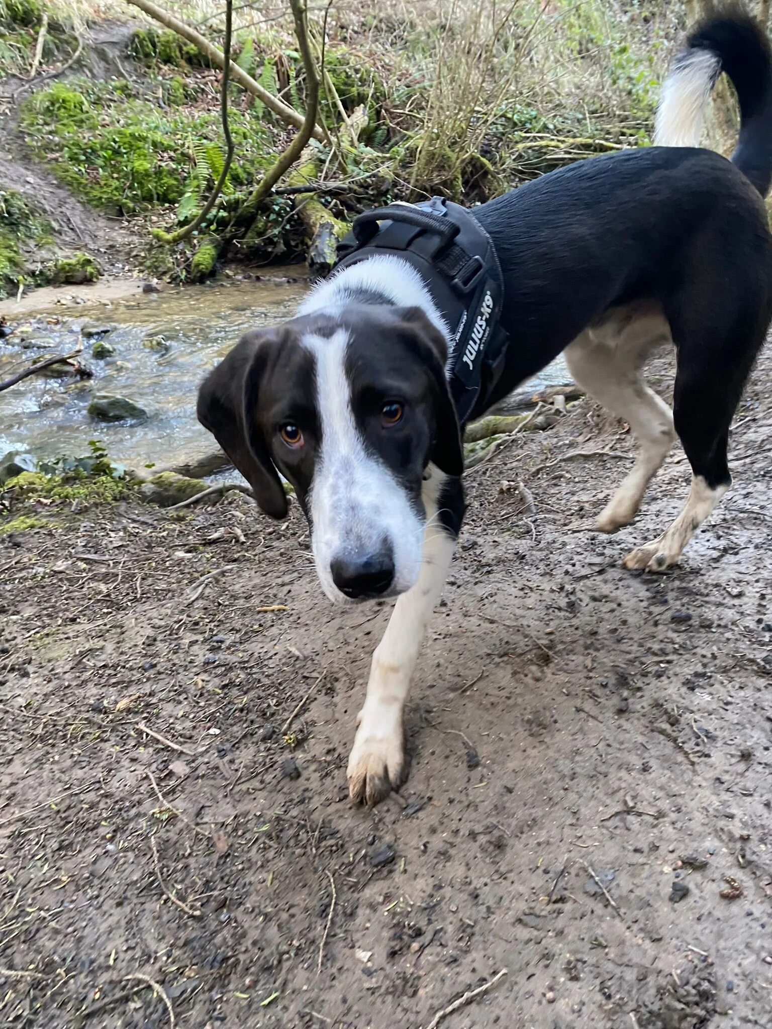 91D542D9-2B19-4FC2-95BF-0034DBDCEE4C