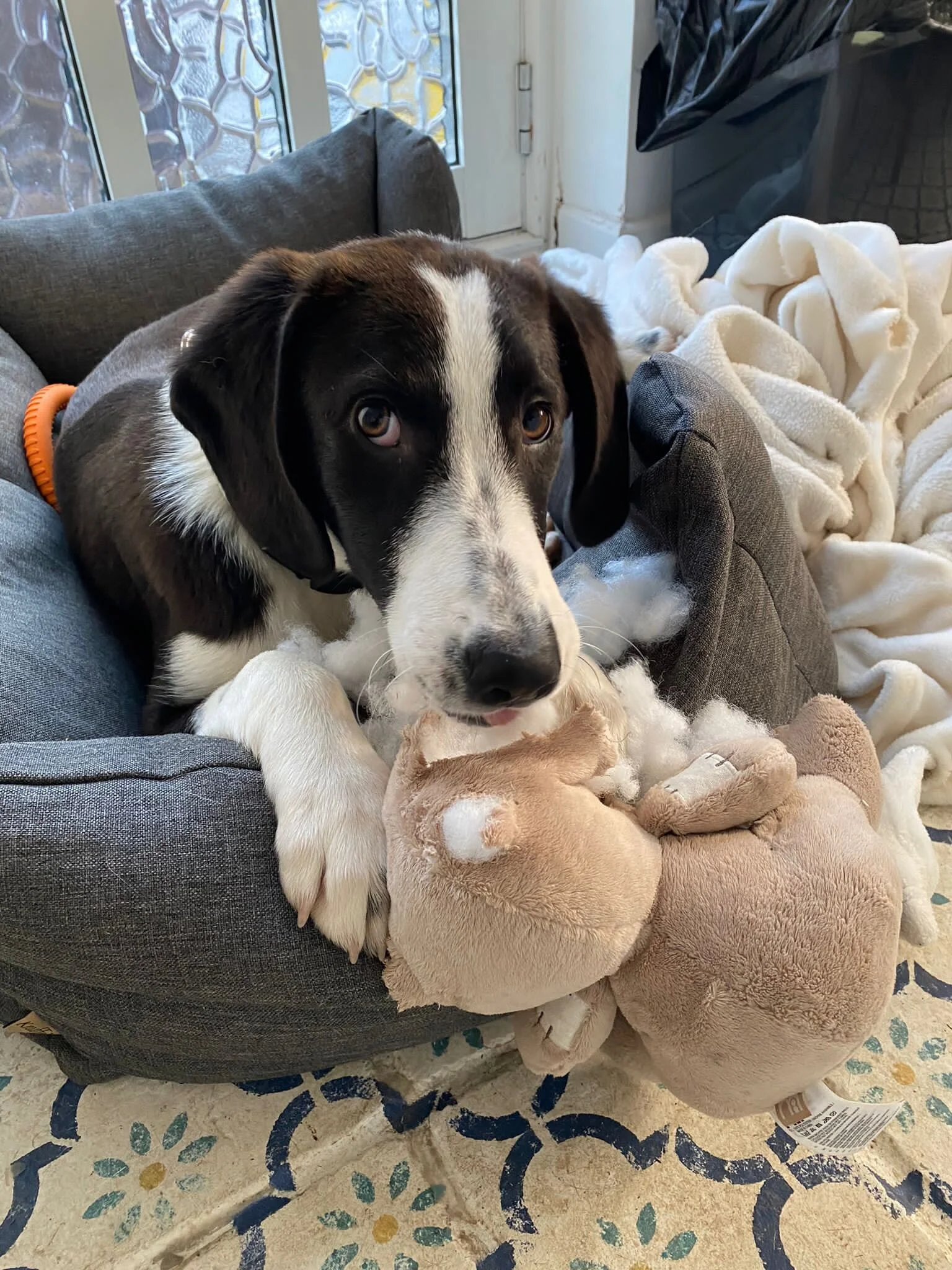 FB7B3712-D4C0-4B0B-987D-F9E94C09DAB7