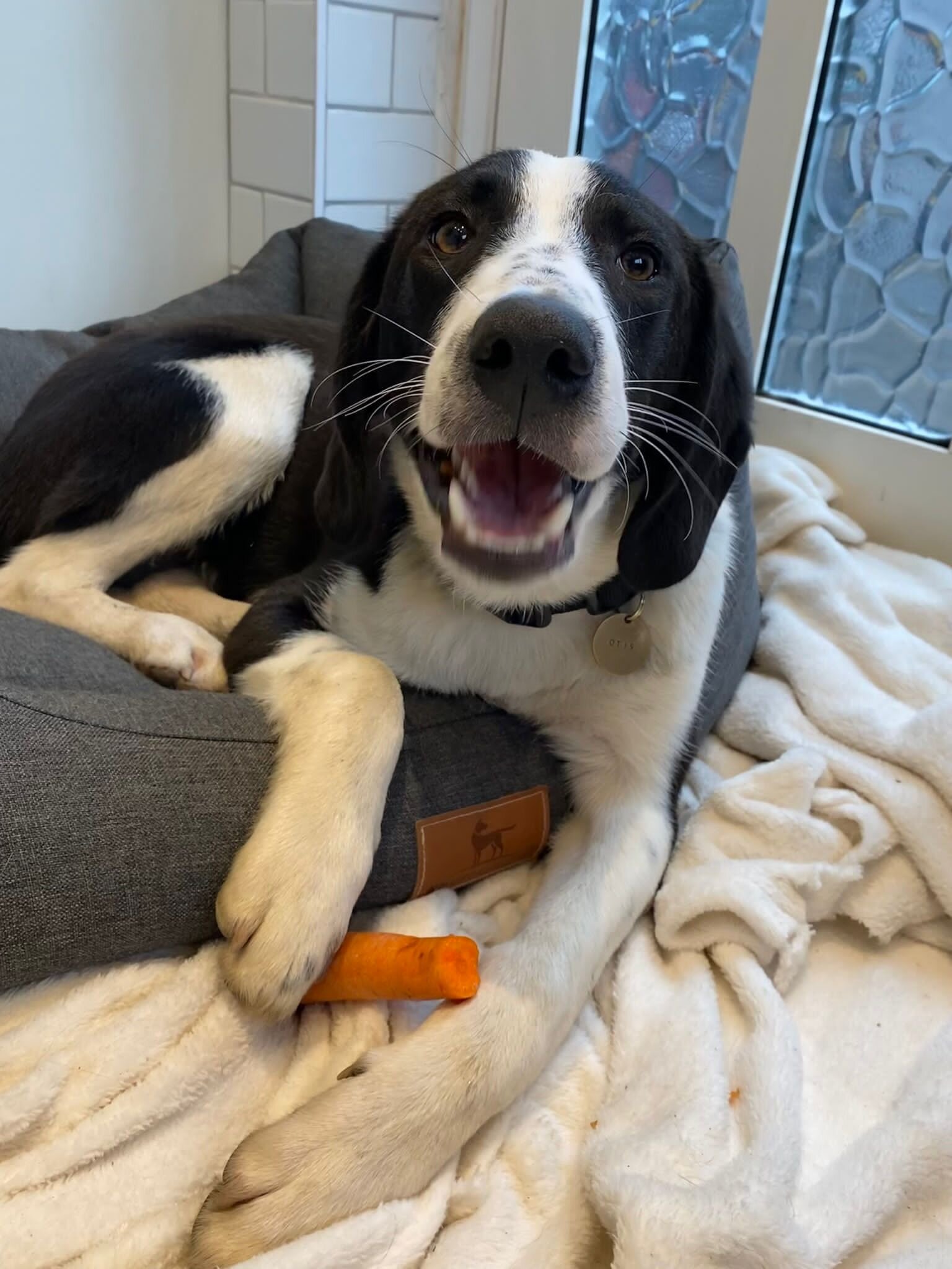 A29377EE-FCAE-47B1-9C9B-5B3C313C5709