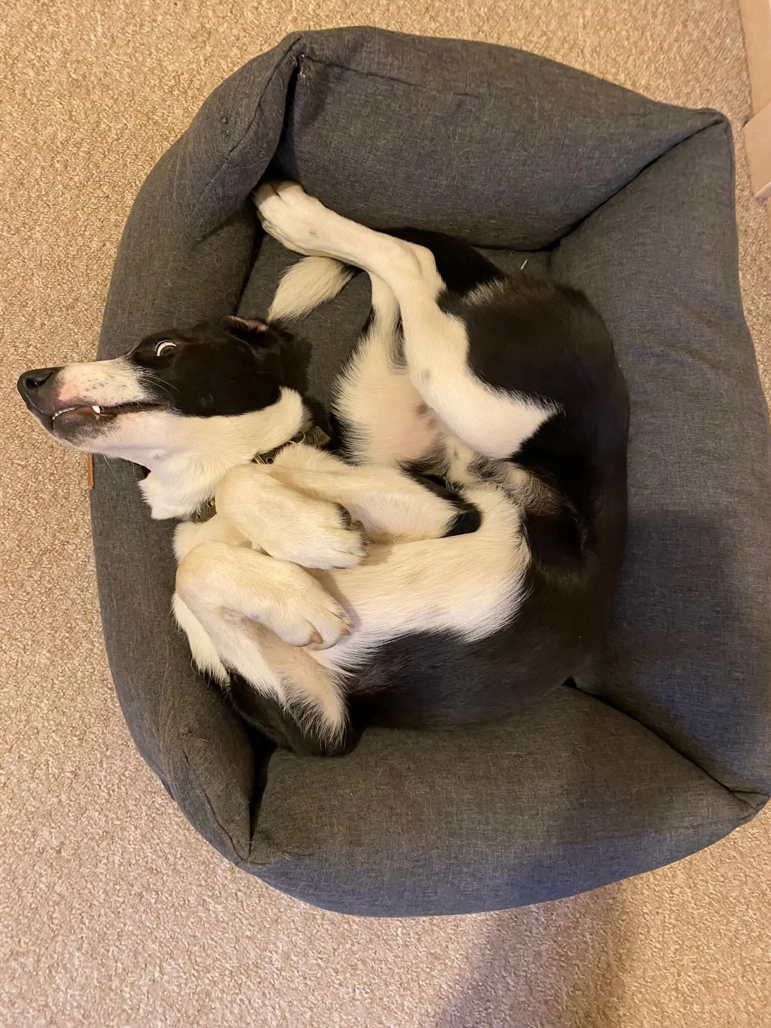 3D71343E-9693-44F3-8E3D-B1A3692DB55B