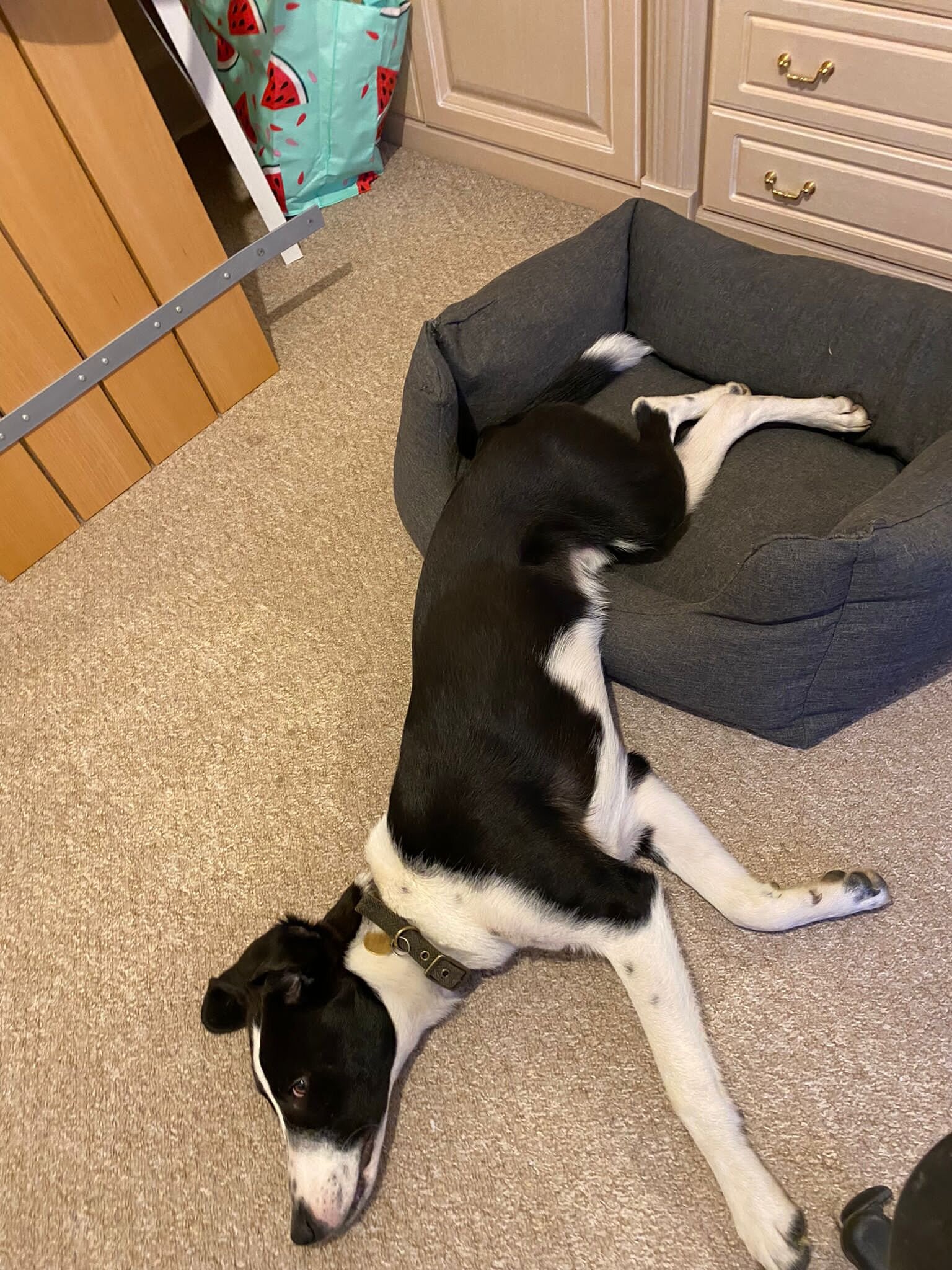 9928C942-3010-4AB4-AC77-E0535CB4592E