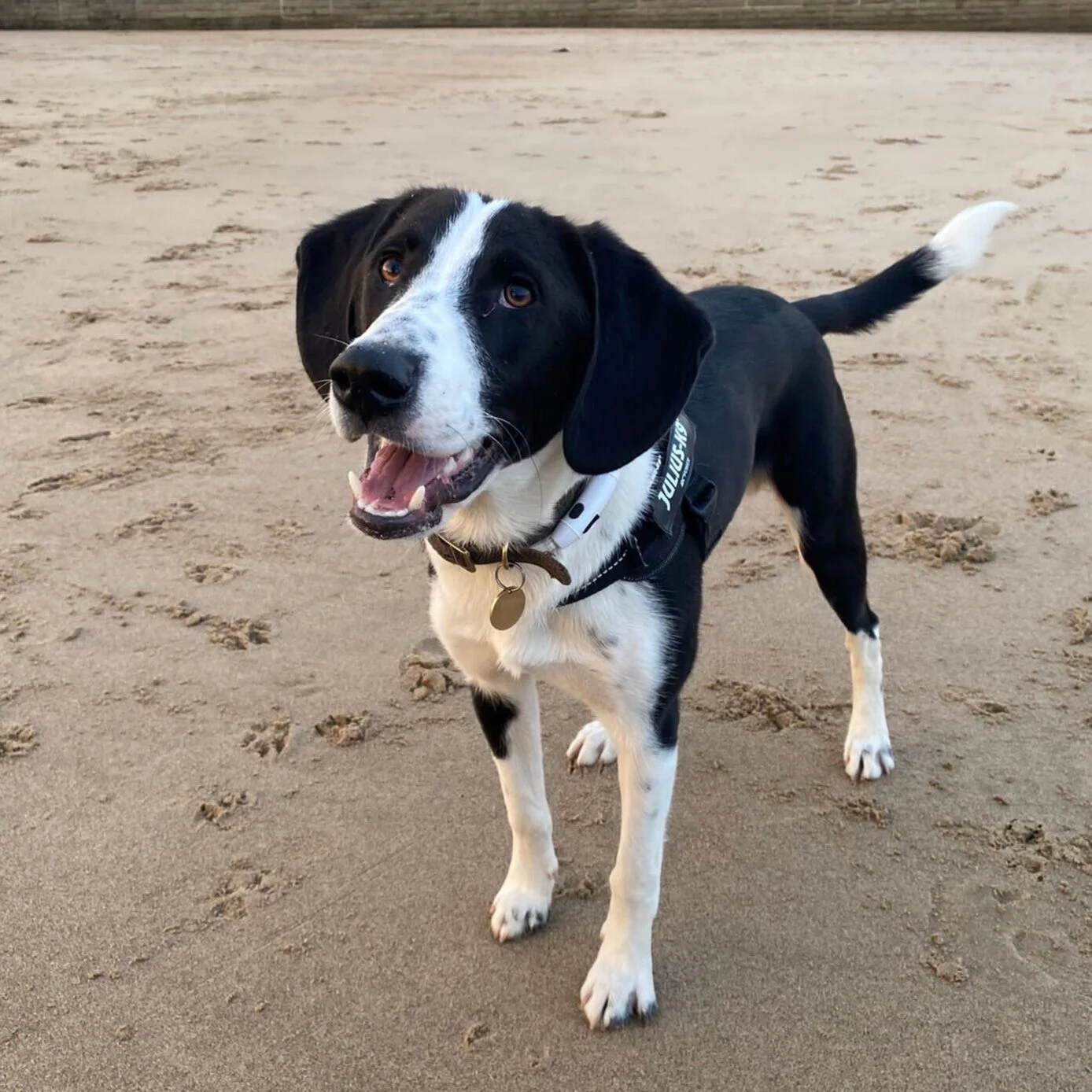 91A94B73-C9A1-4273-9C20-ECE8883AA952